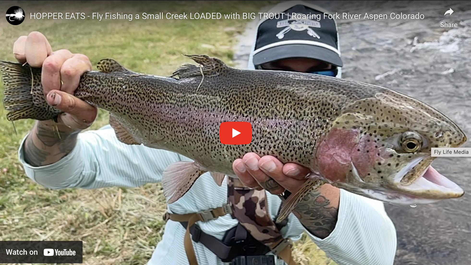 Fly Fishing a Small Creek in Aspen: Hopper Eats & Big Trout on the Roaring Fork River with Reel Hustle