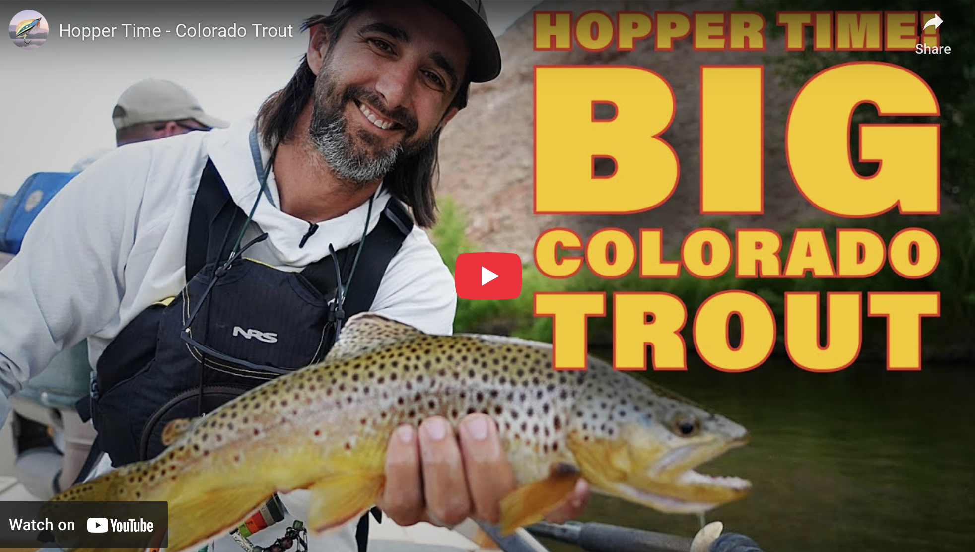 Big Dry Fly Action on the Gunnison | The New Fly Fisher in Colorado