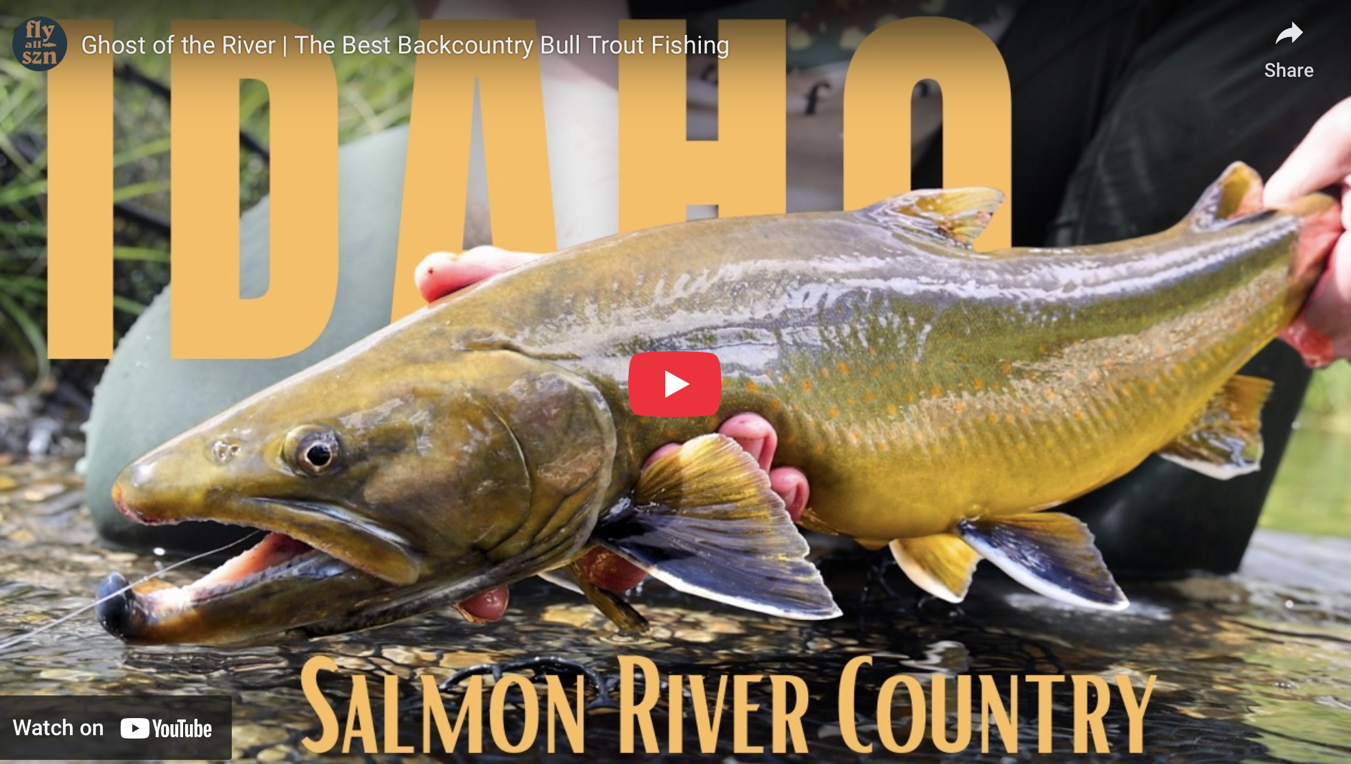Idaho Bull Trout on the Fly | Exploring the Salmon River Wilderness