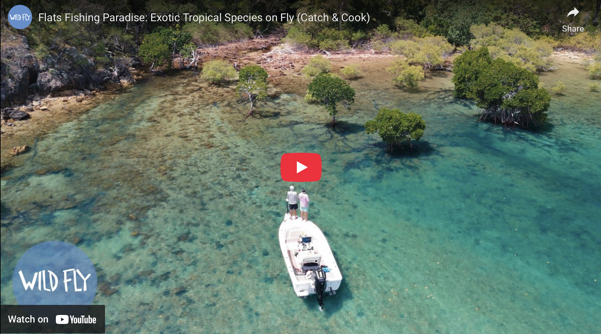 Australian Saltwater Fly Fishing for Trophy Species