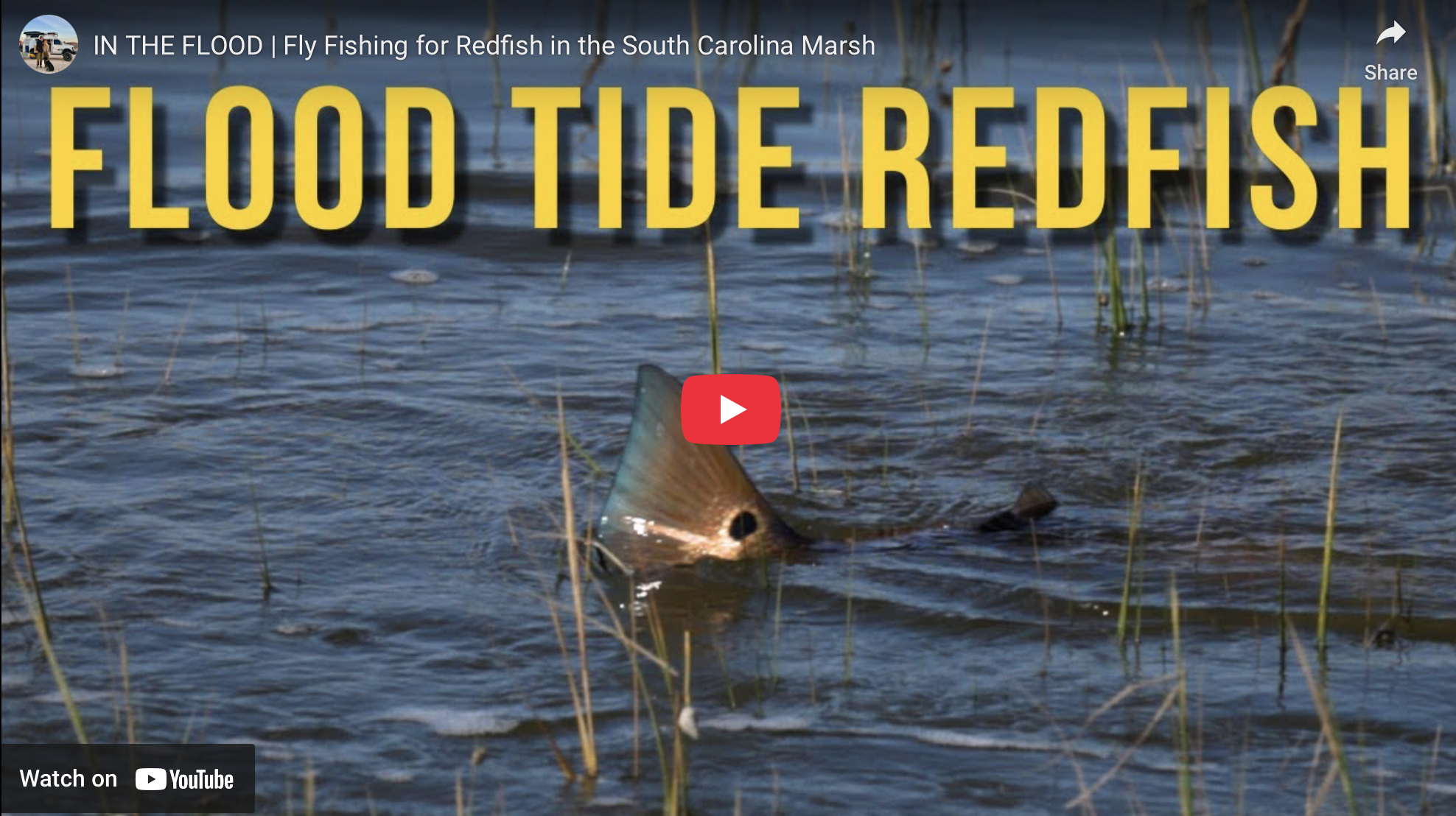 Fly Fishing for Redfish in South Carolina Marsh | Phelps on the Fly