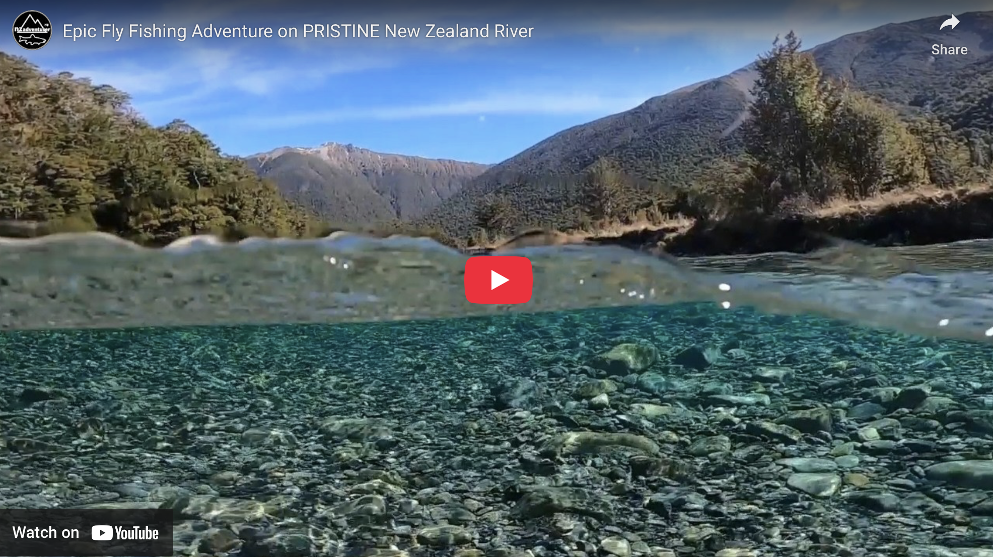 Sight Fishing for Trophy Brown Trout in New Zealand’s Stunning Wilderness