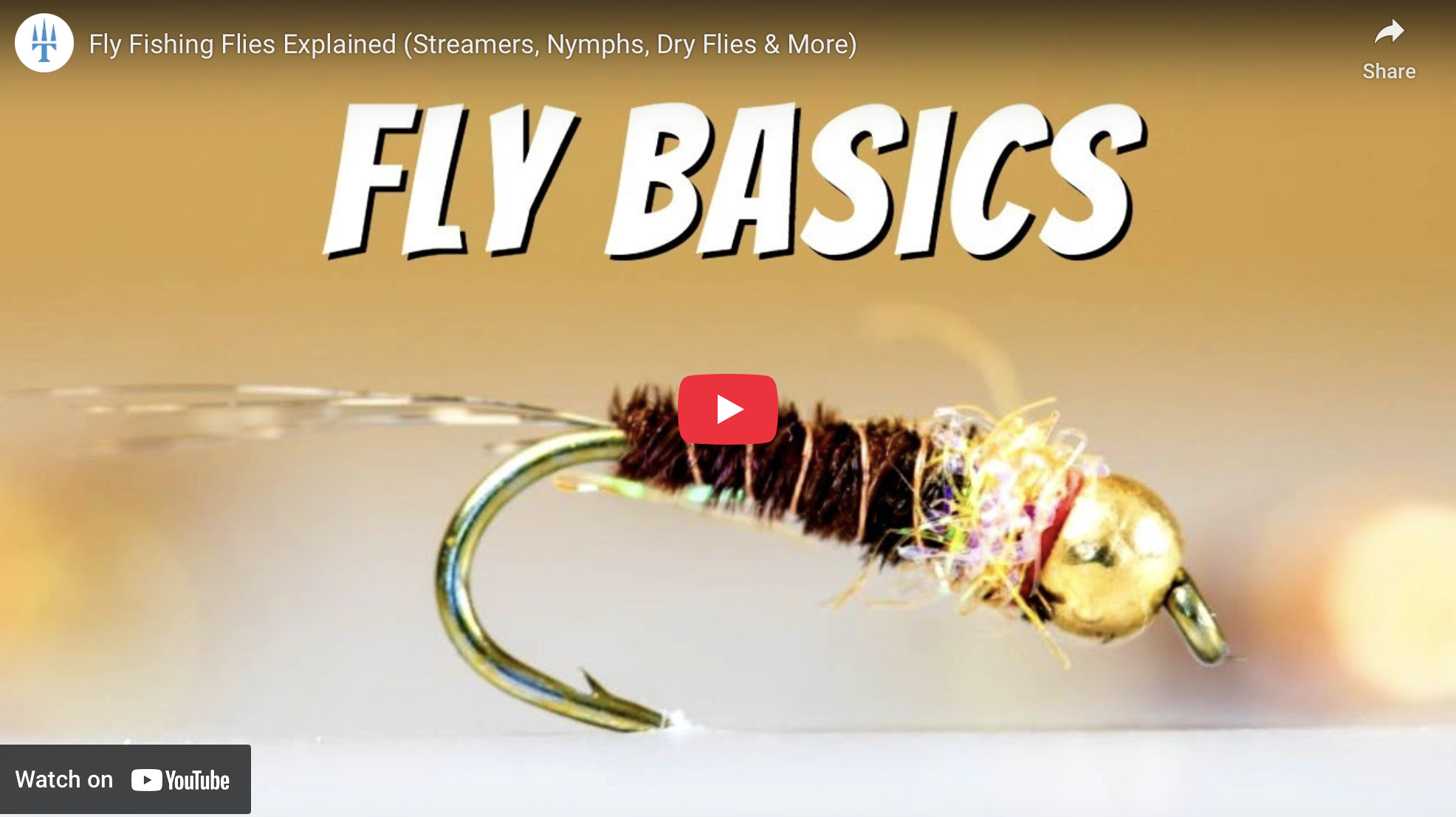 Beginner’s Guide to Fly Fishing Flies – Types, Tips & When to Use Them