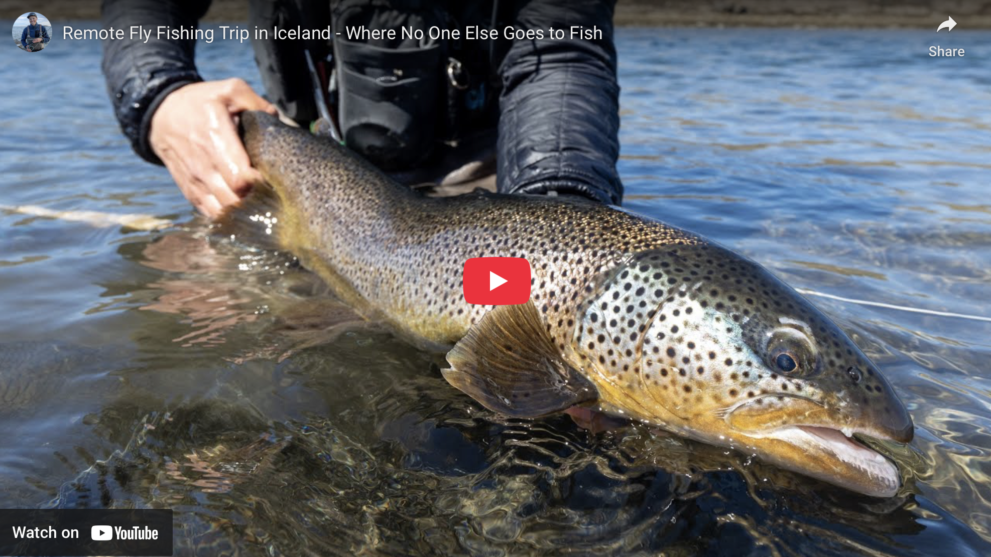 Exploring Iceland’s Hidden Brown Trout Rivers | Fly Fishing with Robert