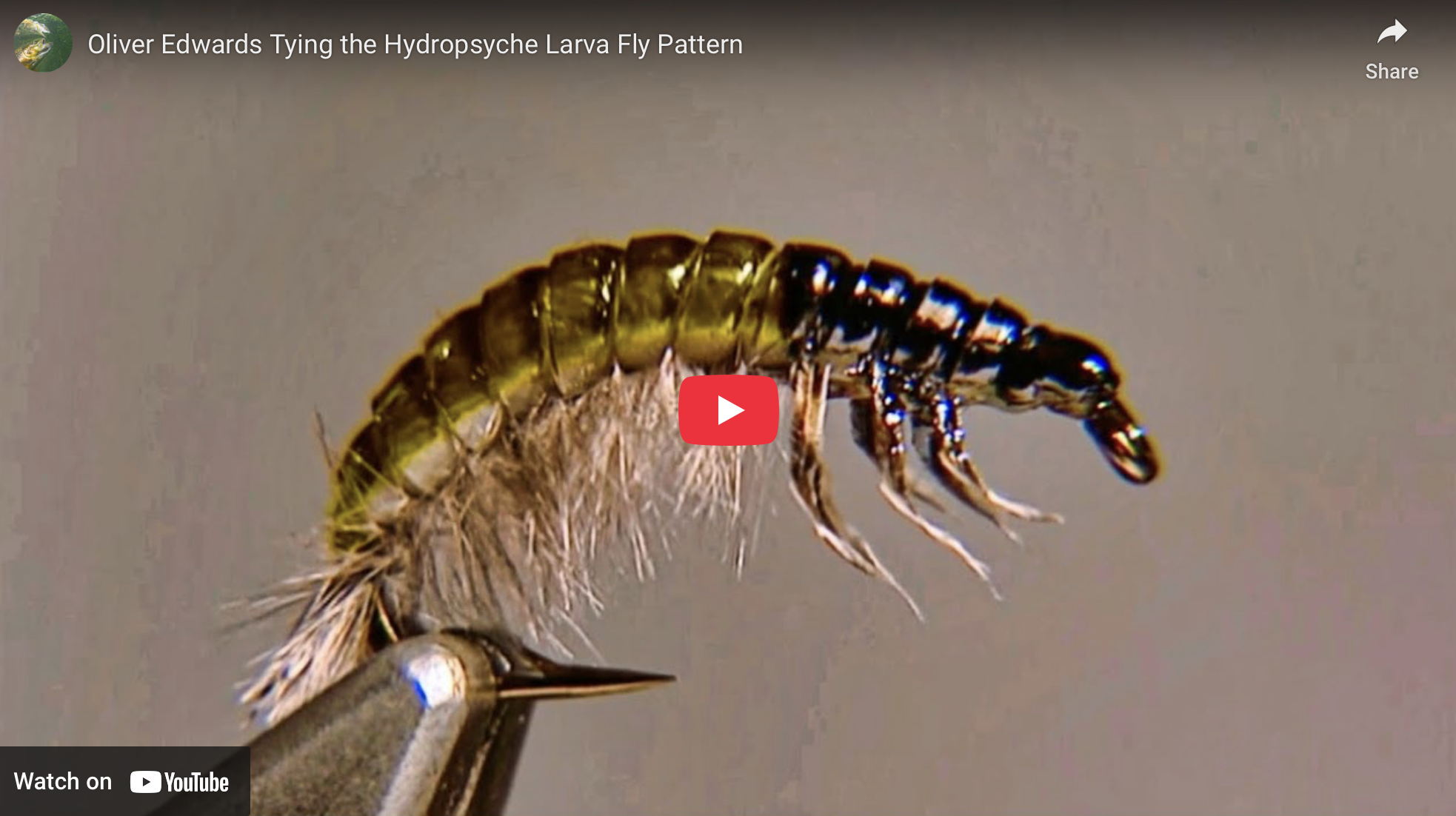 How to Tie a Realistic Hydropsyche Caddis Larva Fly