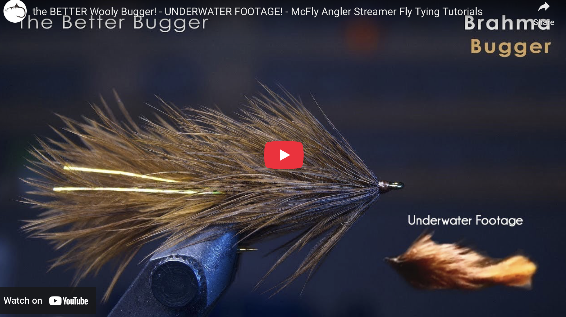 Soft Hackle Bugger Tying Guide