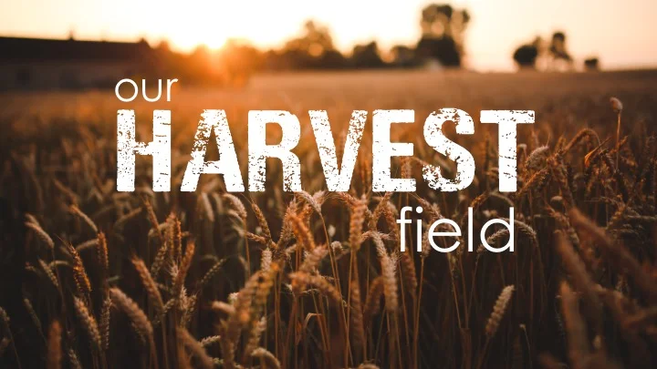 Our Harvest Field