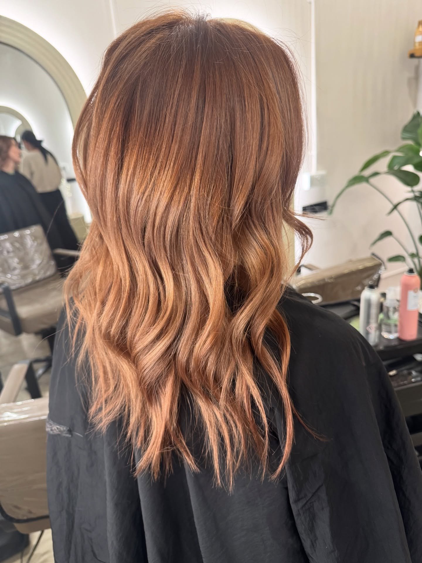 𝘊𝘩𝘦𝘴𝘵𝘯𝘶𝘵 𝘤𝘰𝘱𝘱𝘦𝘳 🌰 🍑