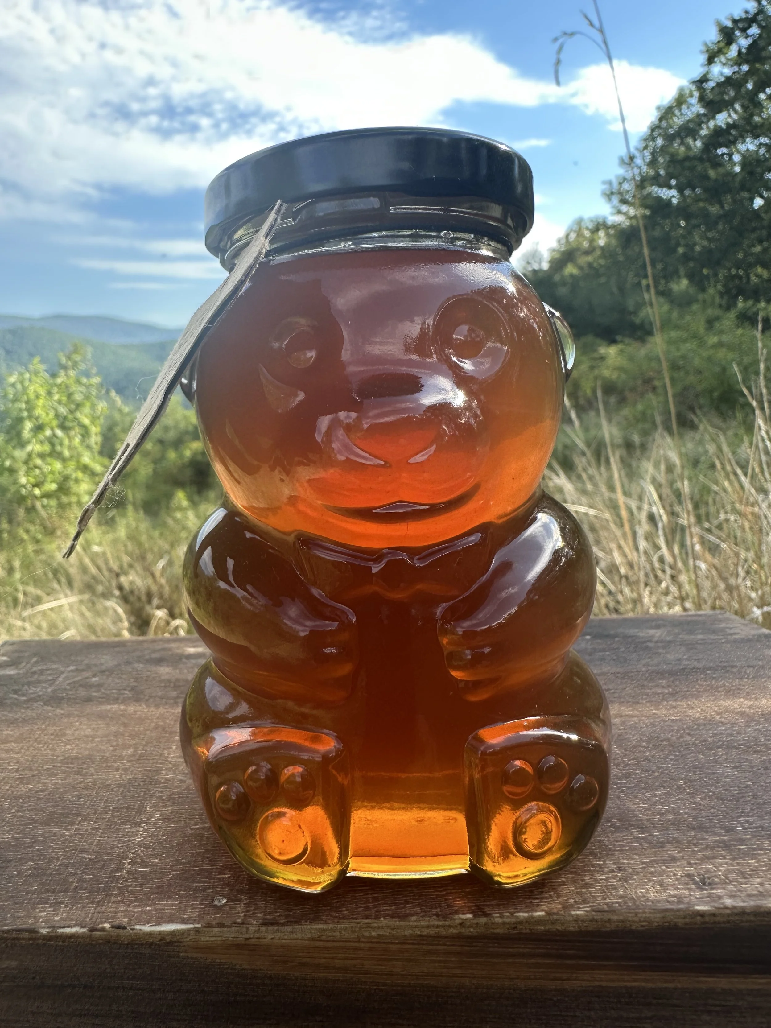 13 Ounce Bear Jar