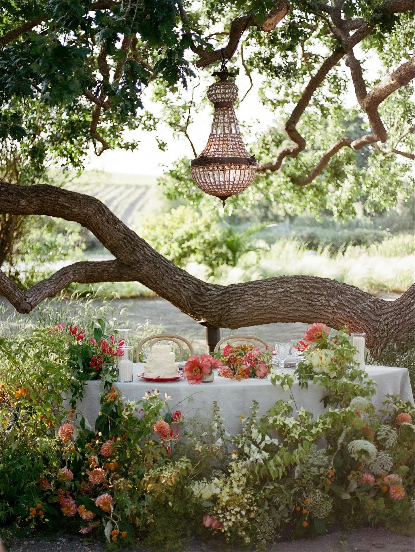 Client brief: a marriage themed dinner party๐
๐ผ
Us: ๐‍↔๏ธ watch this๐ช
Planning + design @heartthrob_events 
Styling @sophiestraussstyling 
Photo @jesworkman 
Cinema @foreverago_studio 
Beauty @emilylynnandcompany @blushandbone 
Hair @stev