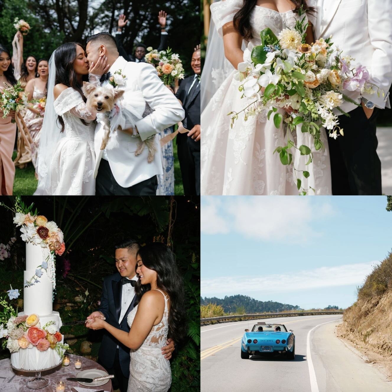 Excited to be back in Carmel this week to work on a very special 2026 wedding! Nothing hits like a magical rocky coast and tropical valley🌈🎀 Thinking of J+R&rsquo;s luscious masterpiece as driving inspo🍾