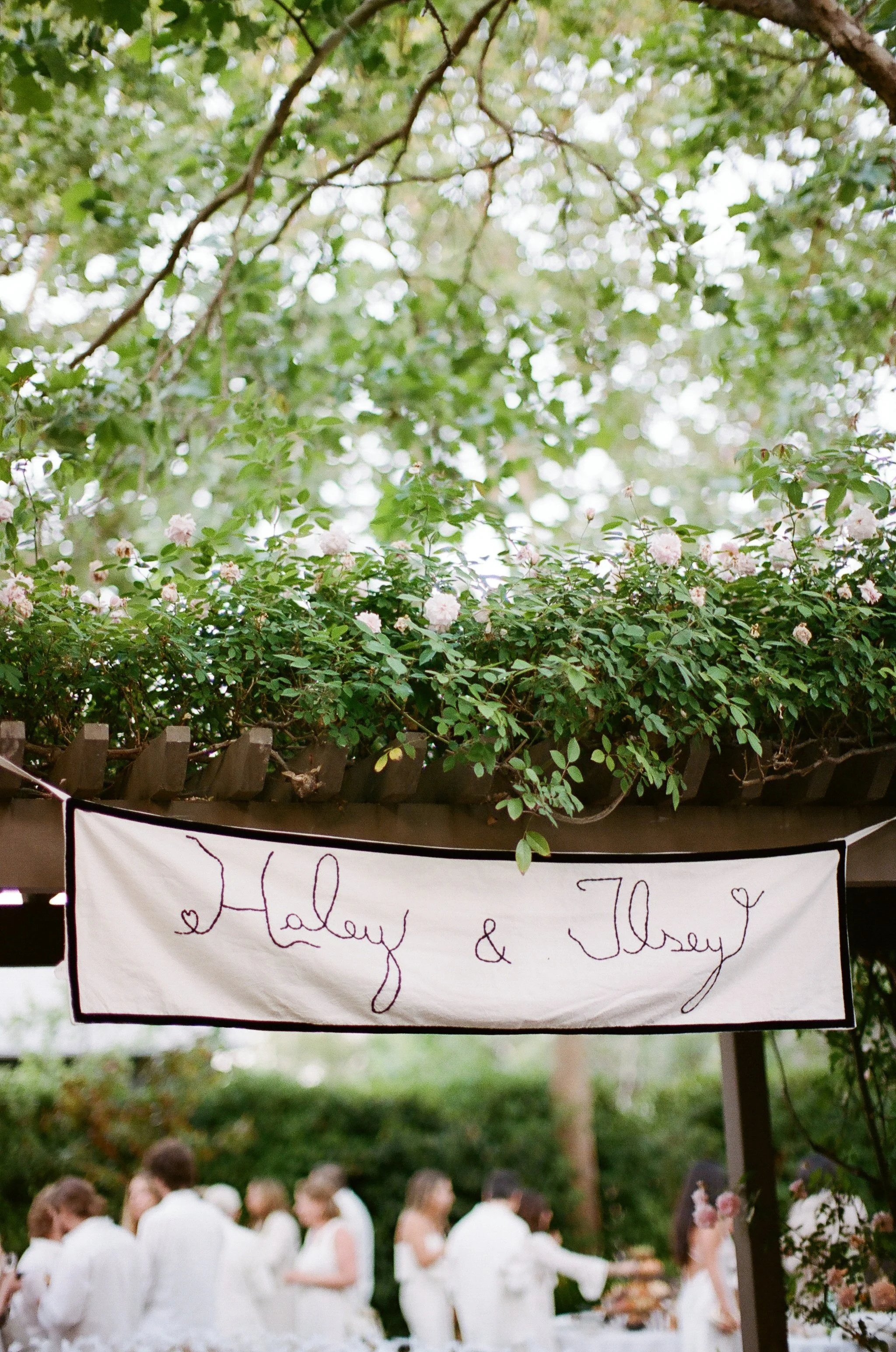 IlseyJuberHaleyEvansWeddingSubmission-6.jpg