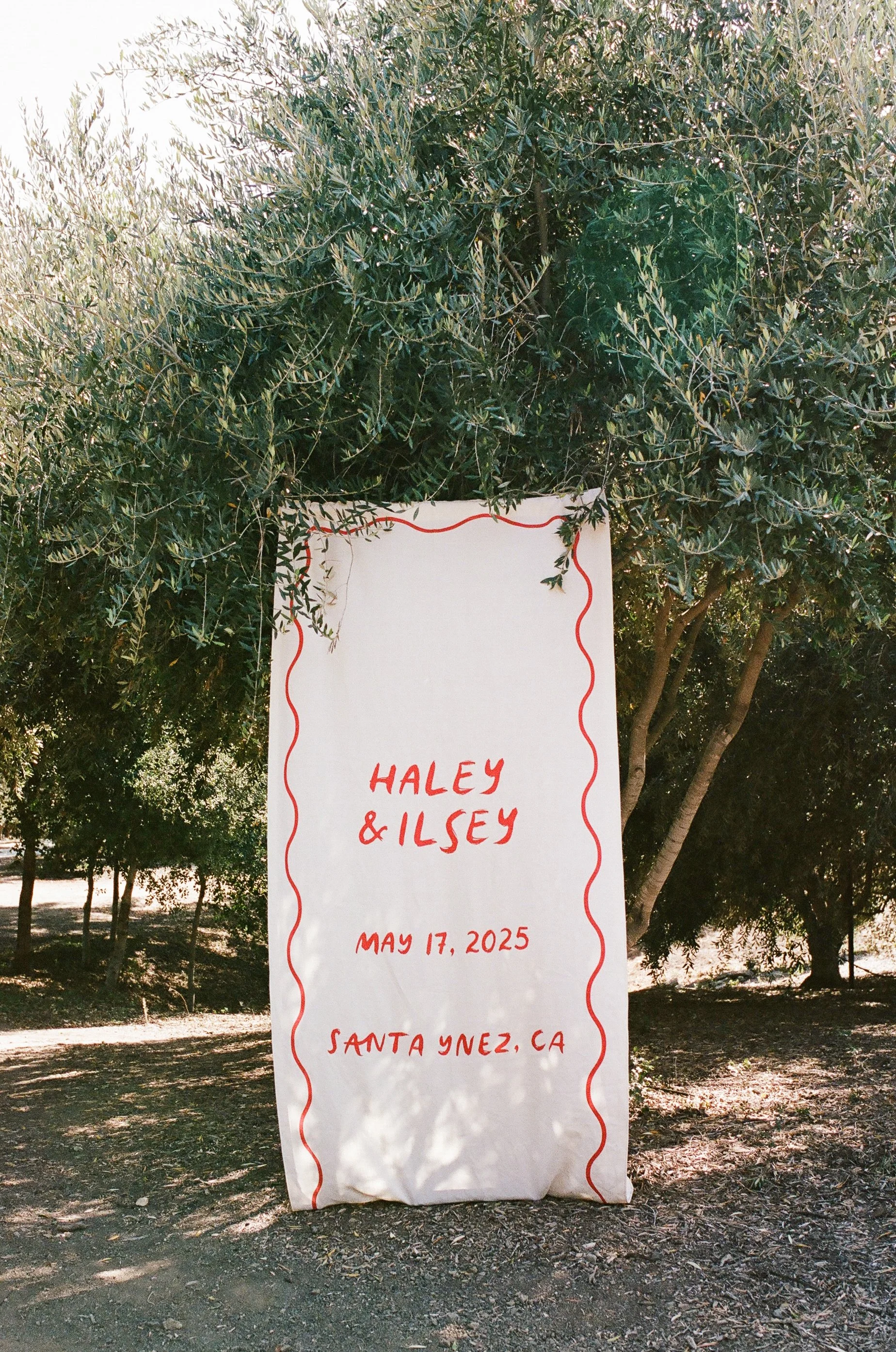 05.5ceremonydetails-haleyilsey-5.jpg