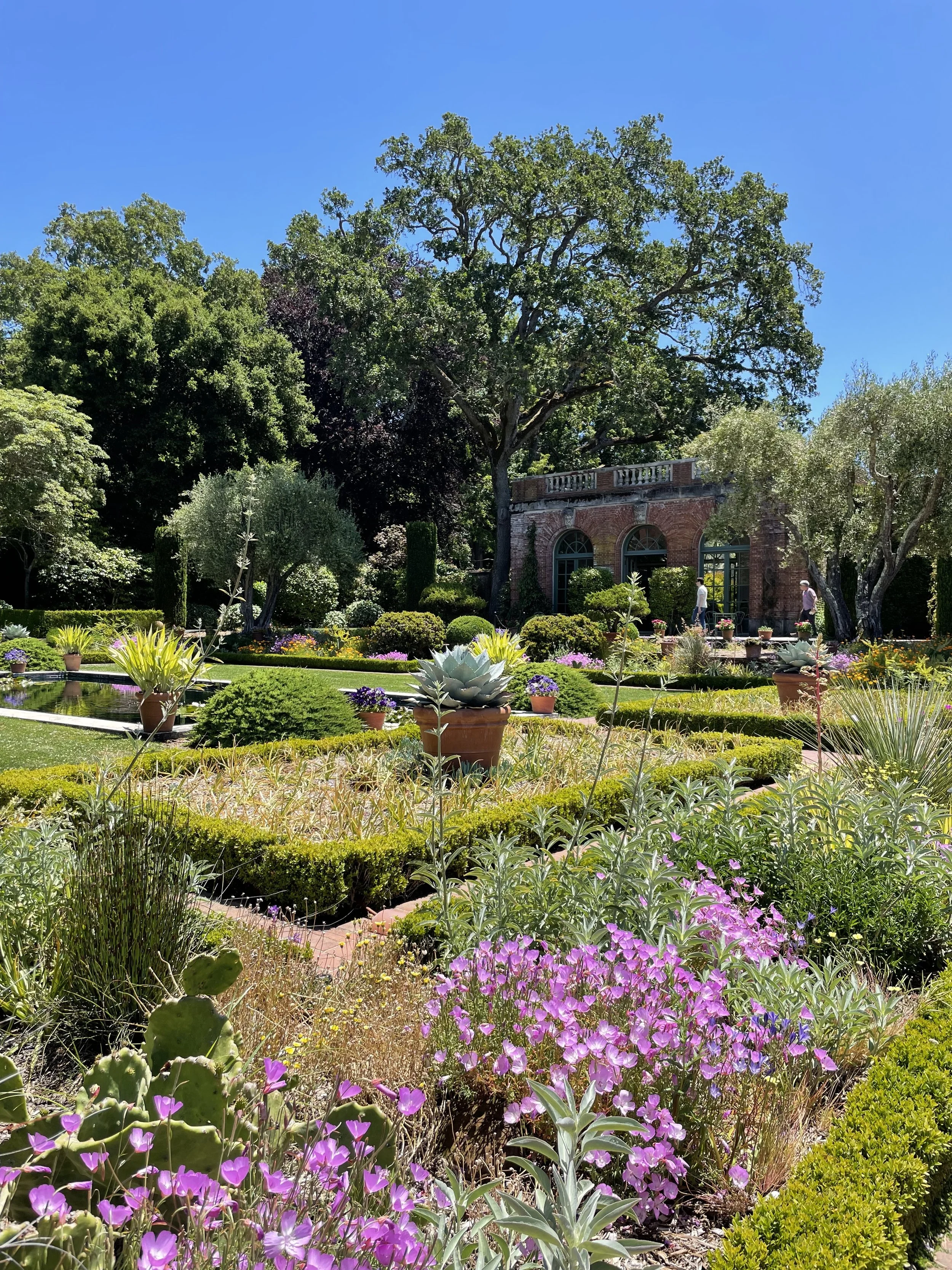 The Connective Power of Beauty