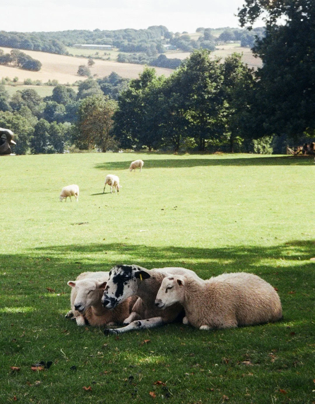 Things: The “Lost” Parables