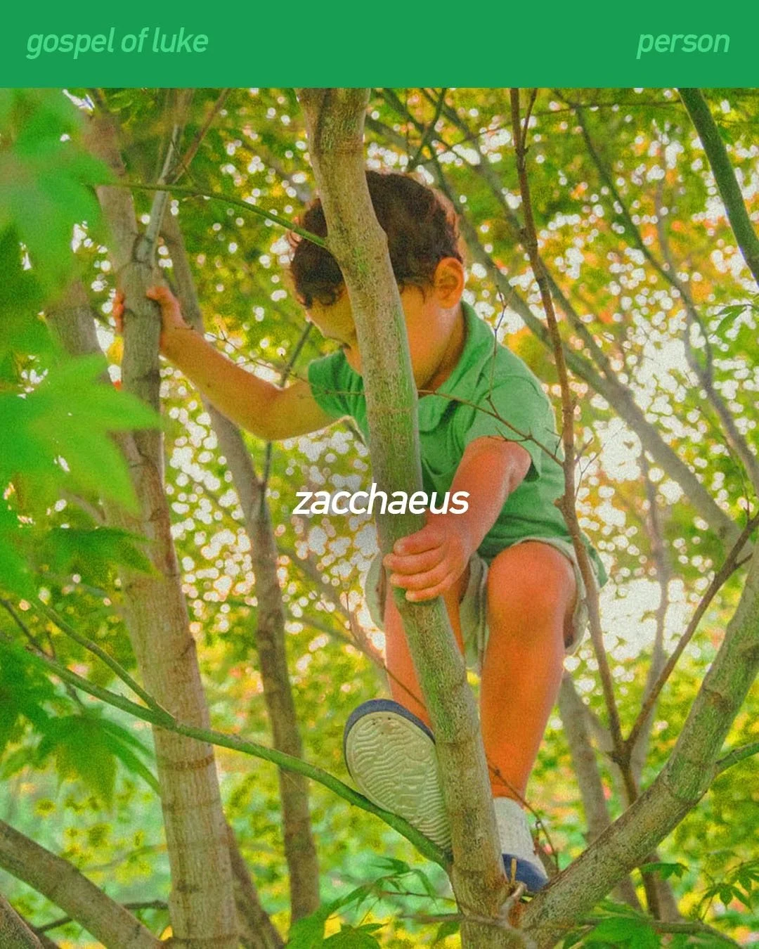 Frank Ivey, a Made for Pax Fellow, gives us a brief meditation on the story of Zacchaeus and how Jesus addressed outsiders in society. Tap the link in the bio to read more.