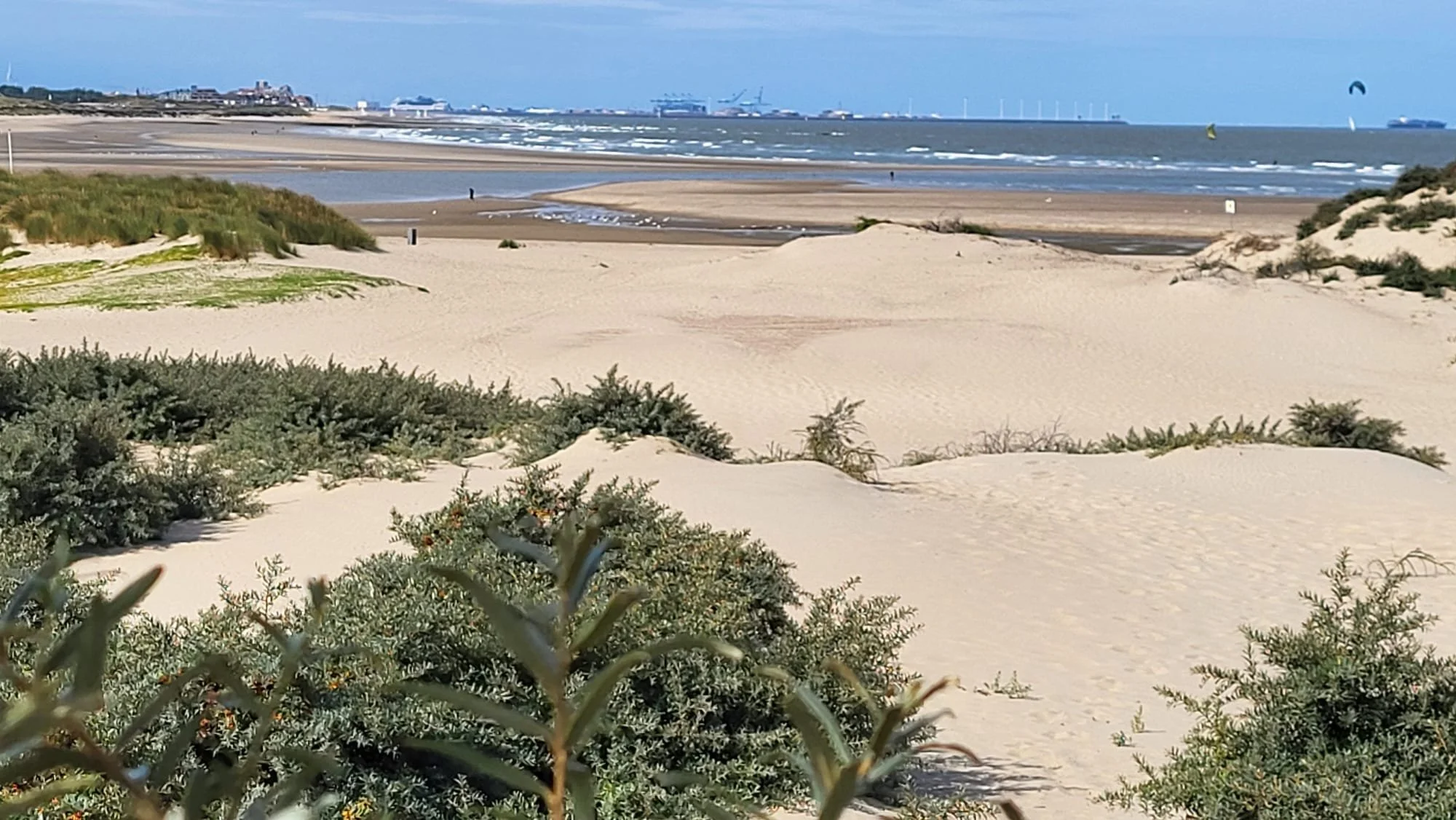 busreis naar Sluis - rondje Sluis - wv voor de wind - 23-08-2025