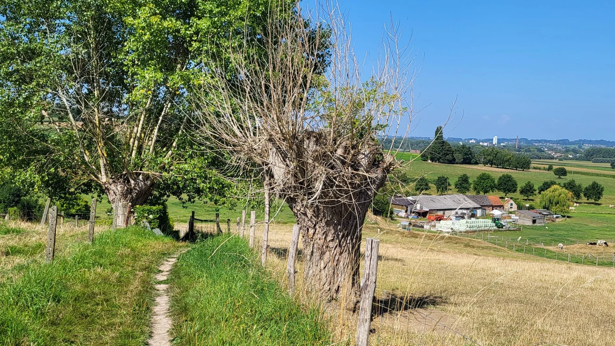 Busreis naar Oudenaarde - wandelclub Hanske de Krijger - Vlaamse Ardennen Challenge - Walk & Shuttle - 10-08-2025