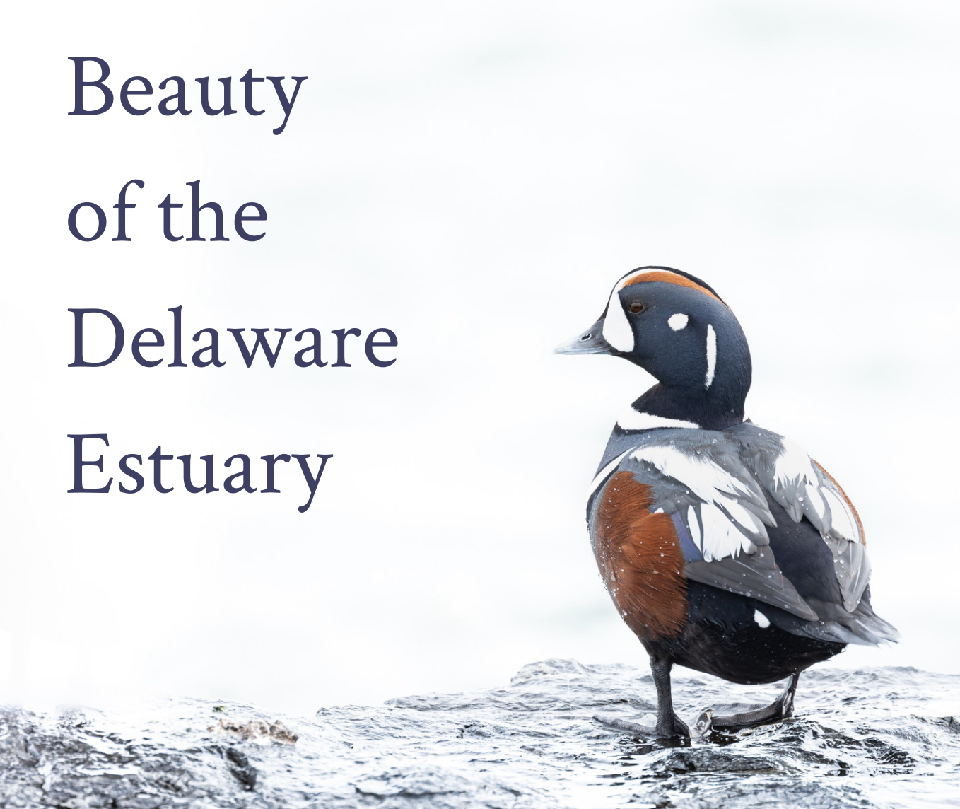 Screenshot 2023-12-04 at 9.32.01 AM.png