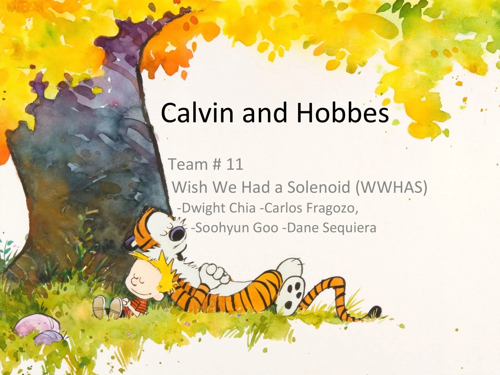Calvin and Hobbes1-01.jpg