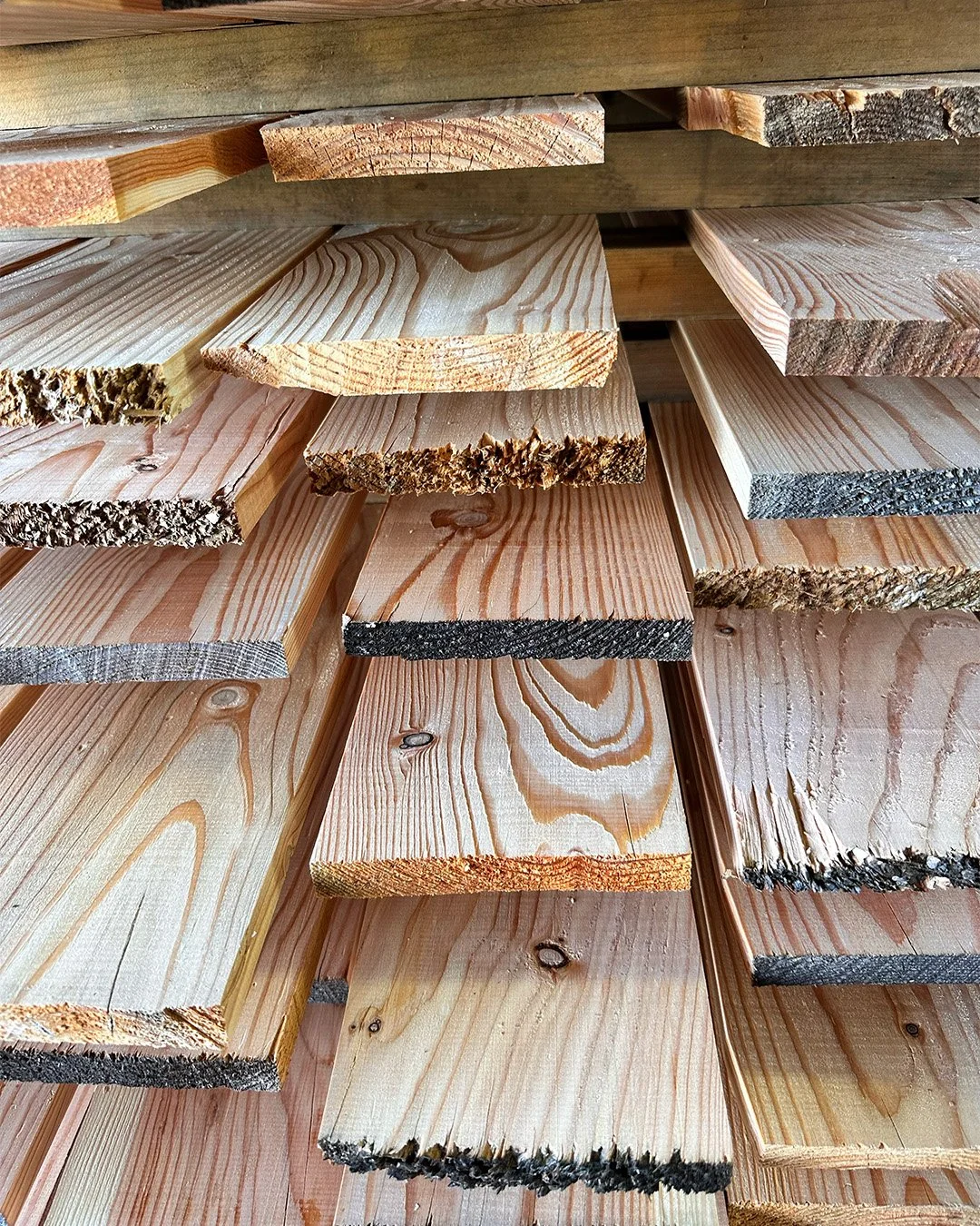 larch ADK chair prep.jpg