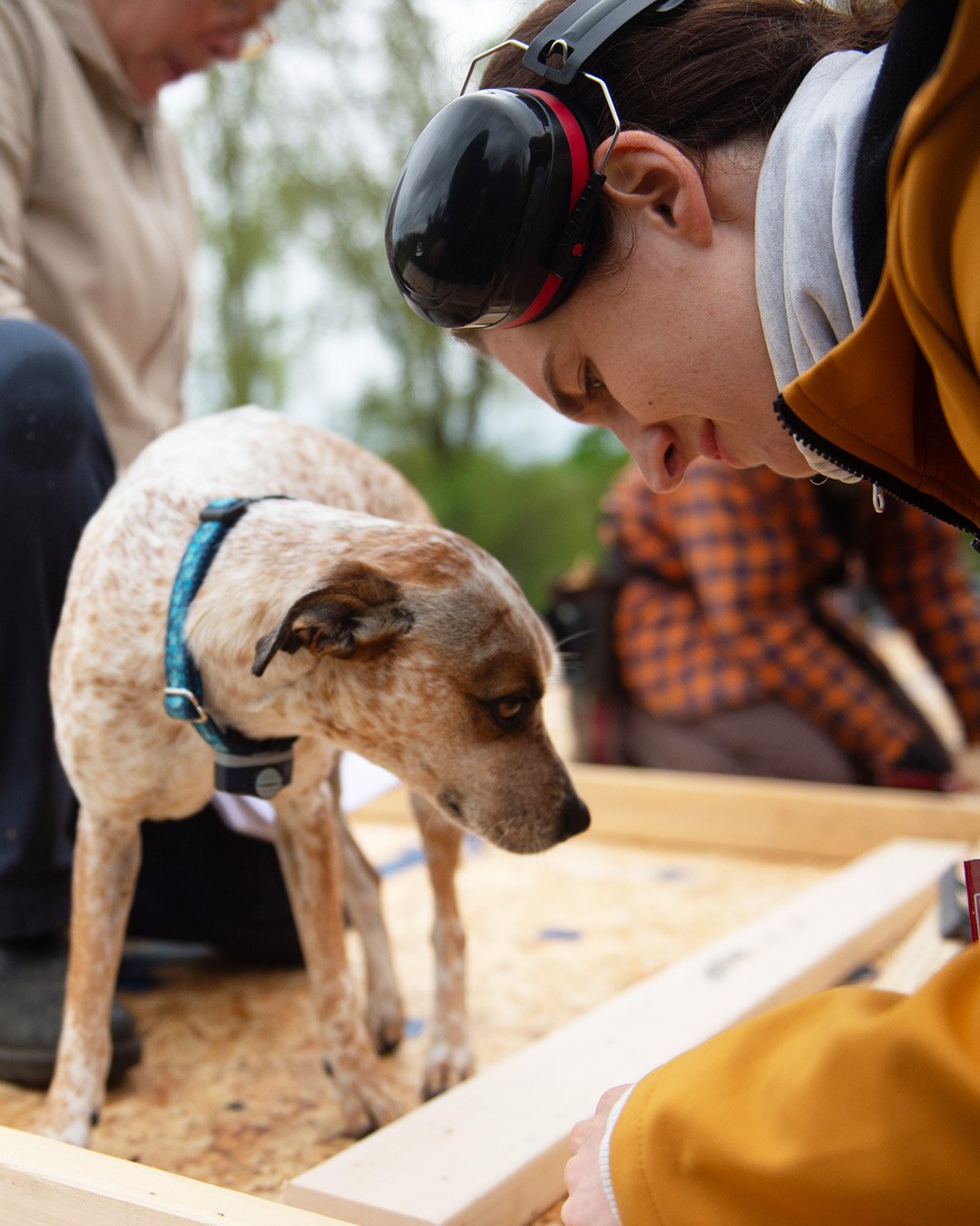 🚨 *Rough Framing: Build a Tiny House is over half FULL already!* -- If you want to join us for this epic course on May 11-15, sign up soon! It is likely to sell out in advance, after which we'll accept waitlist registrations. 🔨 

We offer this clas