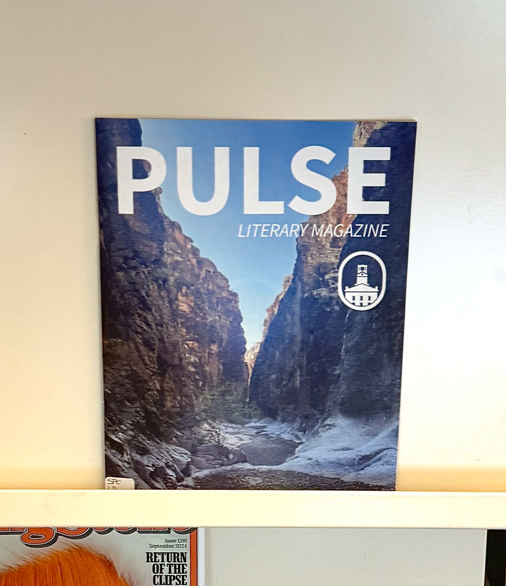 Pulse Magazine
