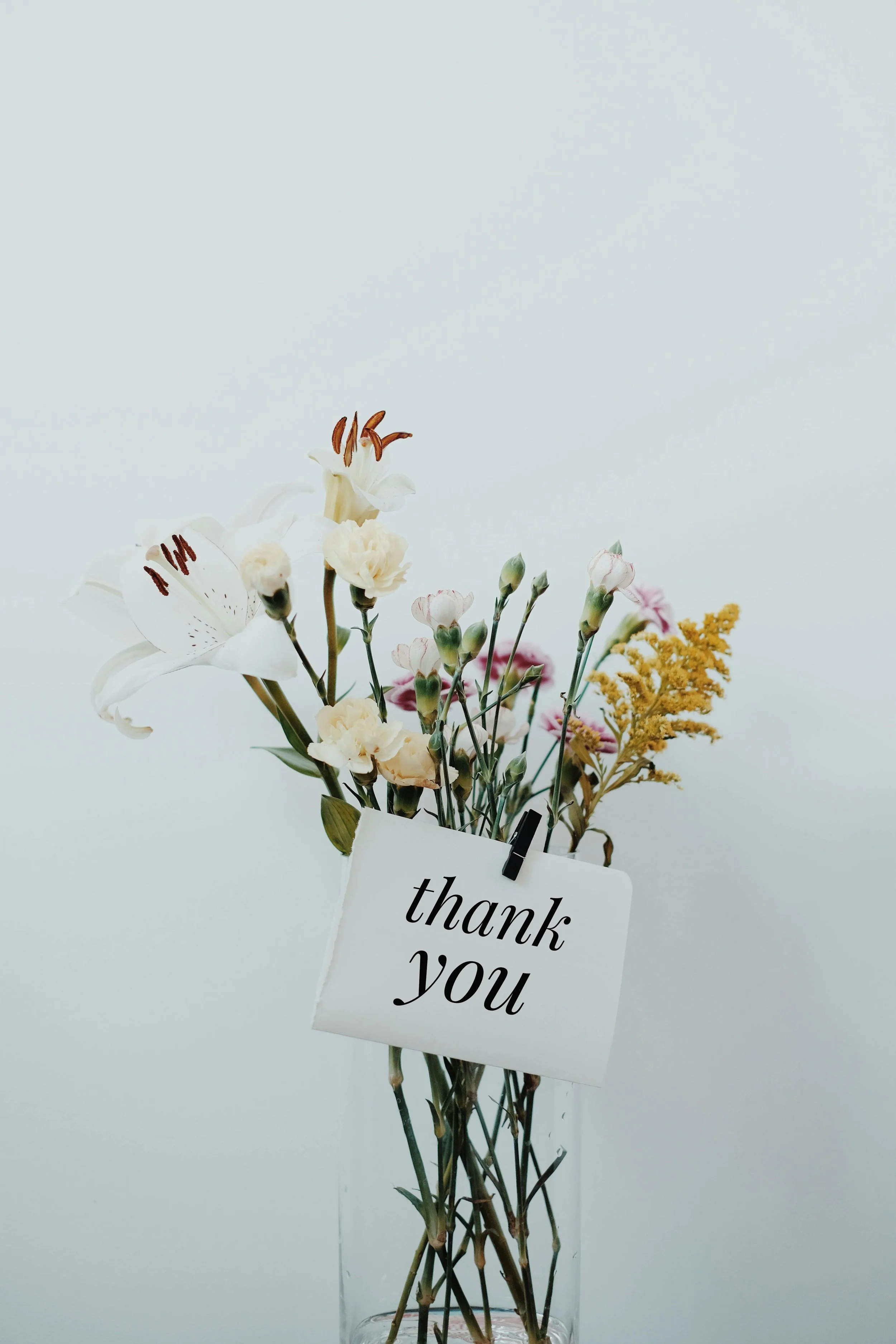 November 1, 2025: Gratitude