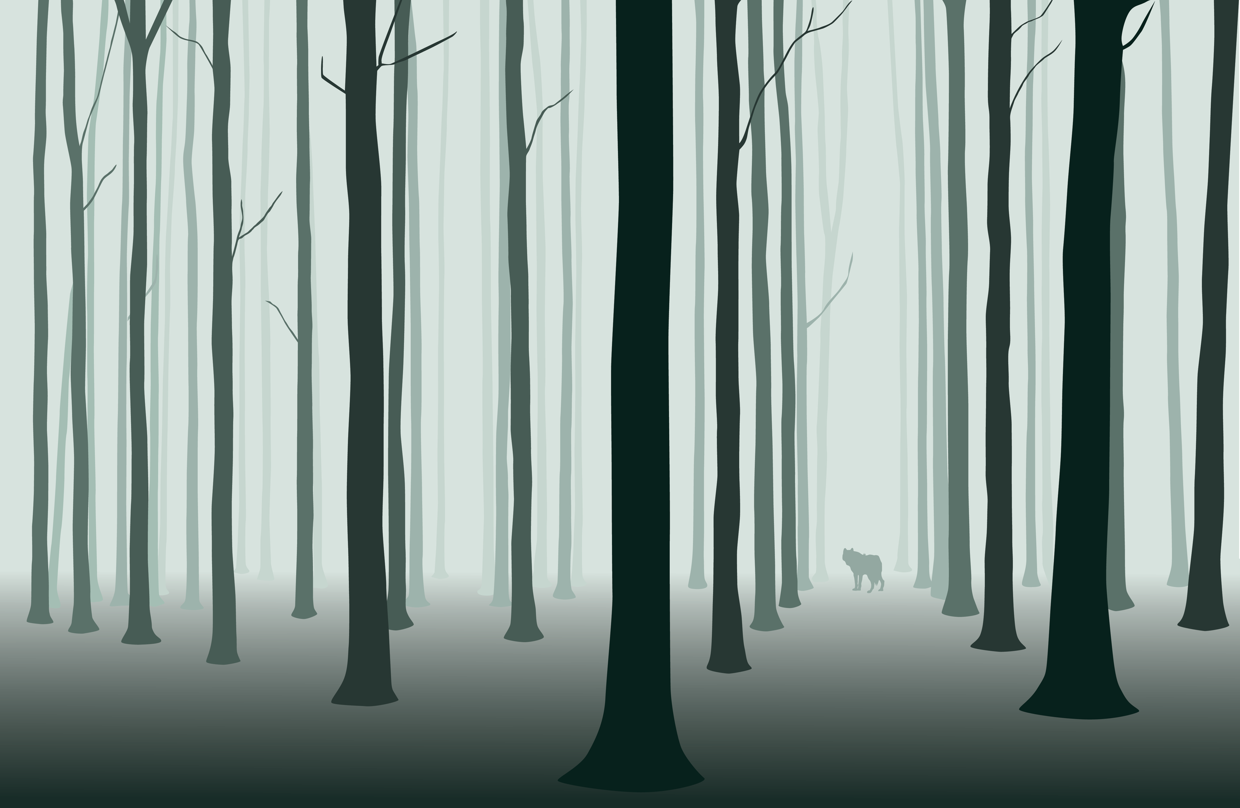 colour forest.png