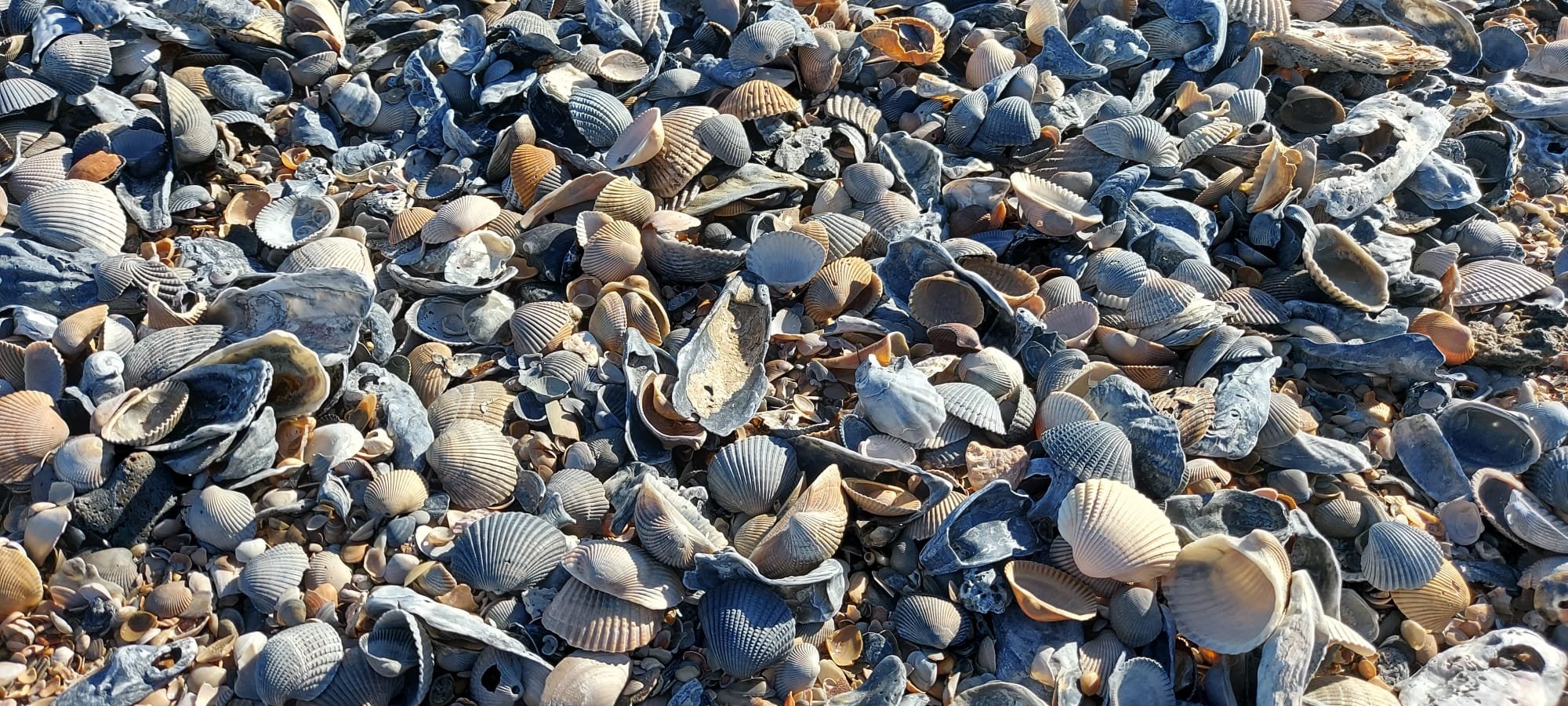 WhatsApp Image 2023-11-30 at 18.19.44.jpeg