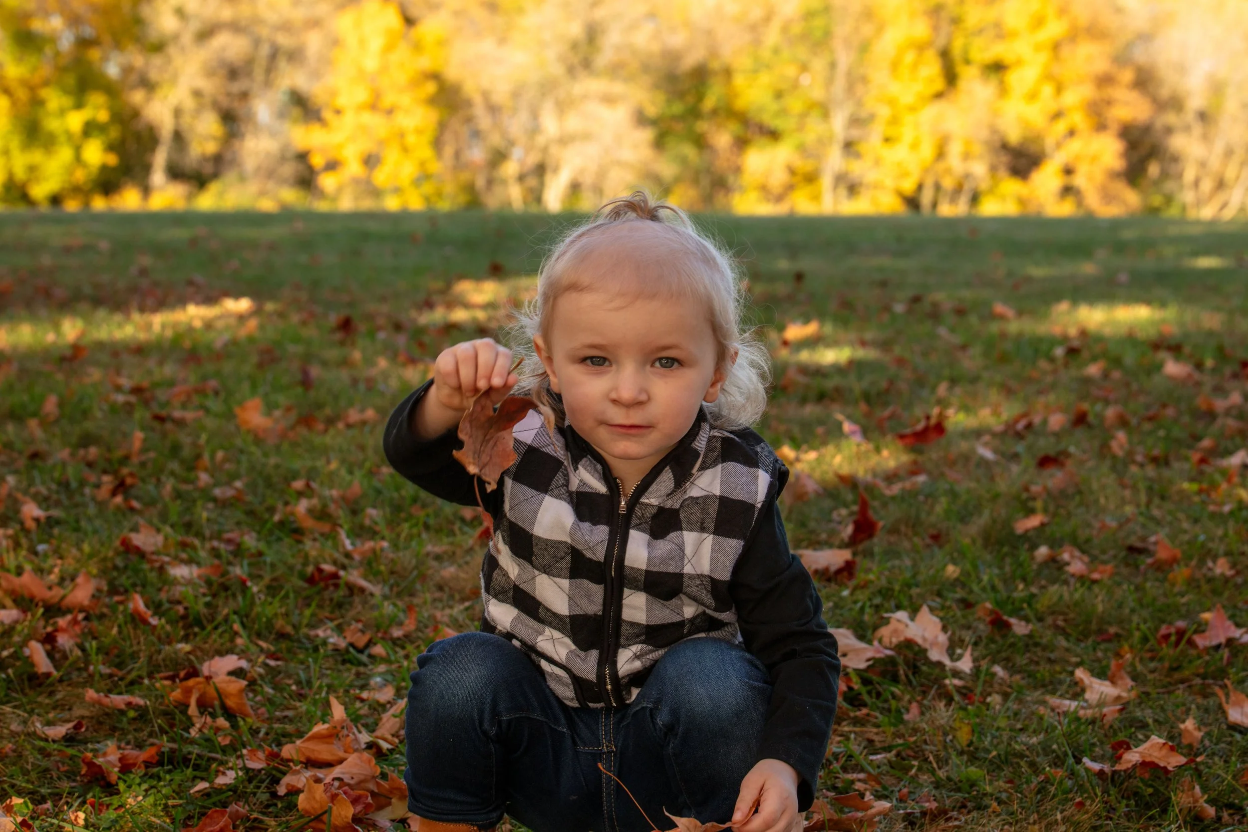Young child in a plaid vest crouching outdoors in a grassy park surrounded by fallen autumn leaves, holding a leaf in hand, with trees displaying fall foliage in the background.