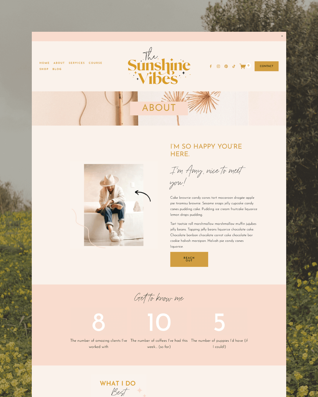 Sunshine Vibes by Design Pixie | Squarespace 7.1 Website Template | Squarespace Ecommerce Website
