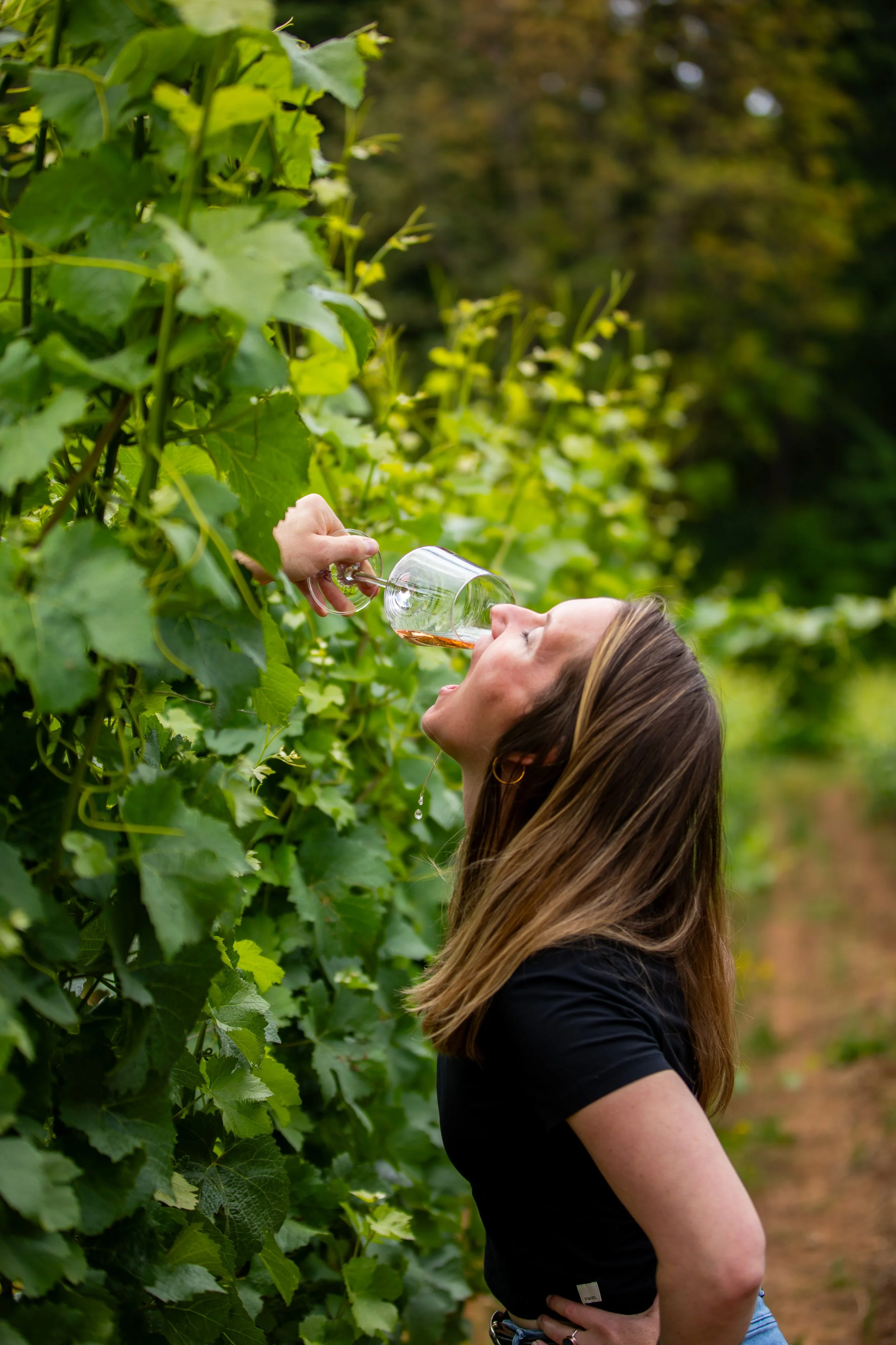 Pour wine in mouth