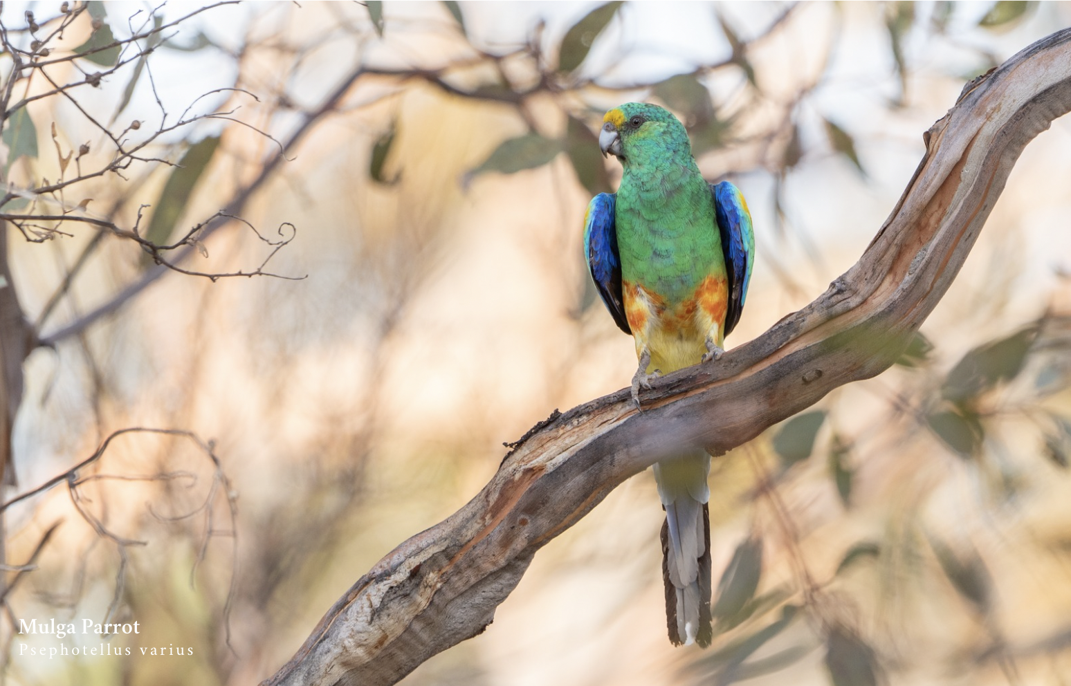 Screenshot 2025-10-13 at 2.02.02 pm.png