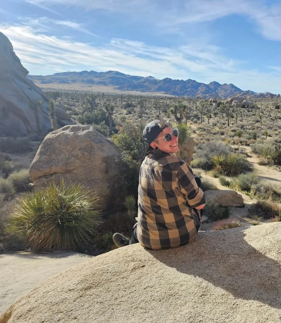 Person sitting on a rock in a desert landscape with mountains and blue sky in the background.