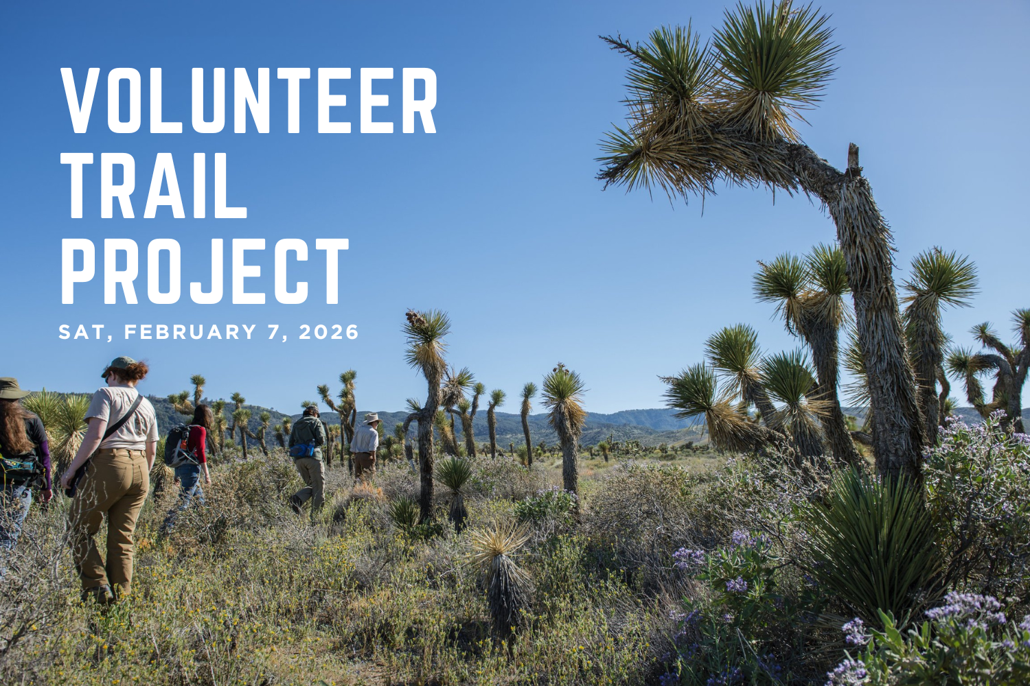 Volunteer Trail Project