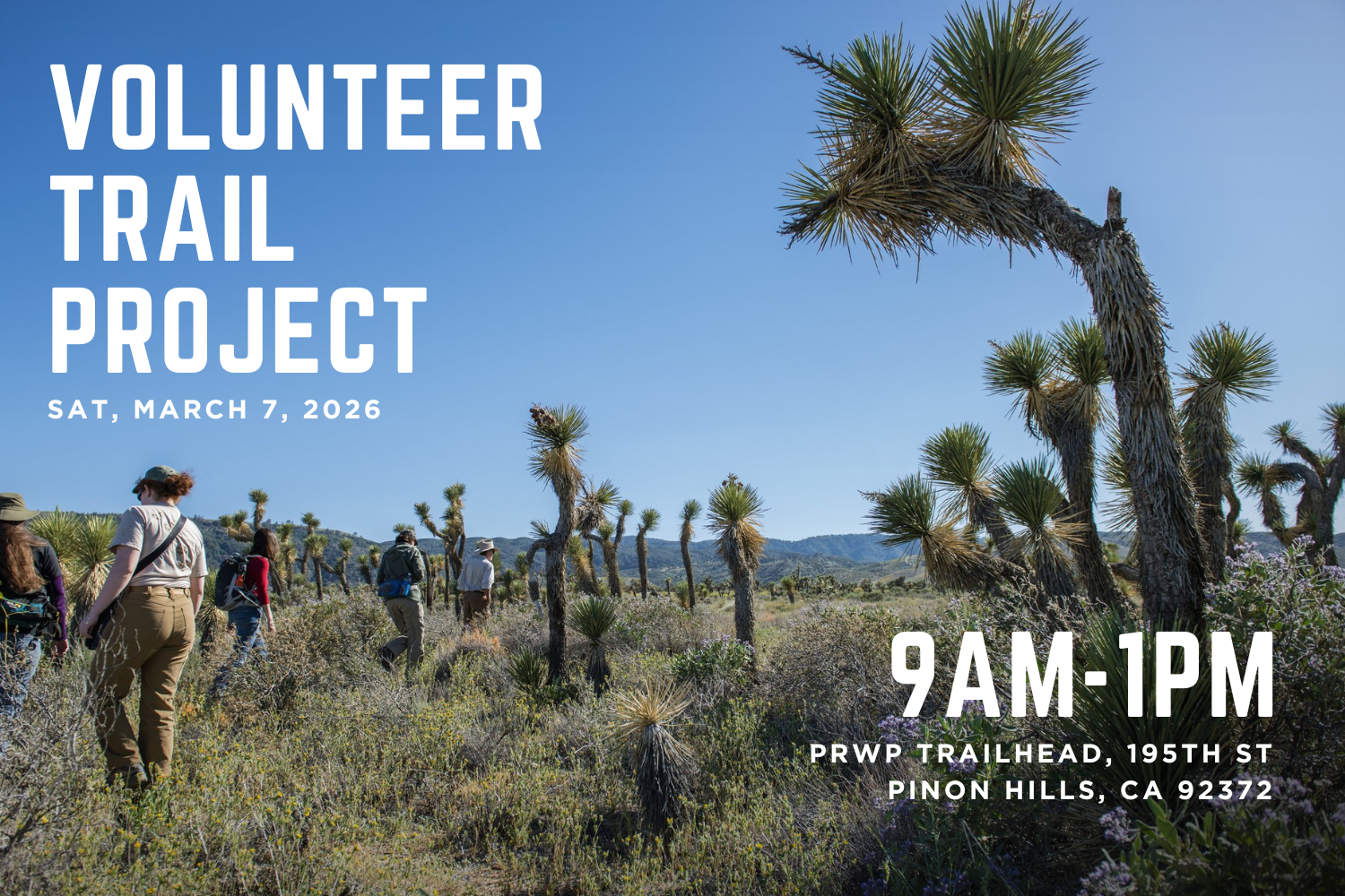 Volunteer Trail Project