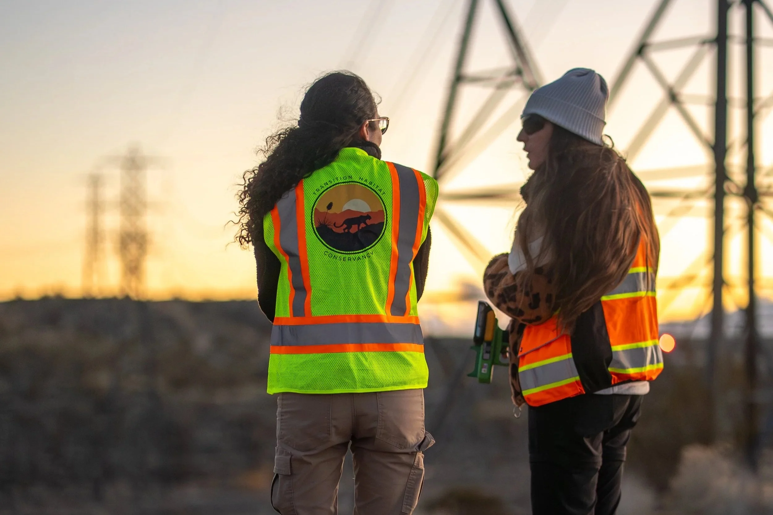 Lasers, Ravens, and the High-Tech Mission to Save the Desert Tortoise