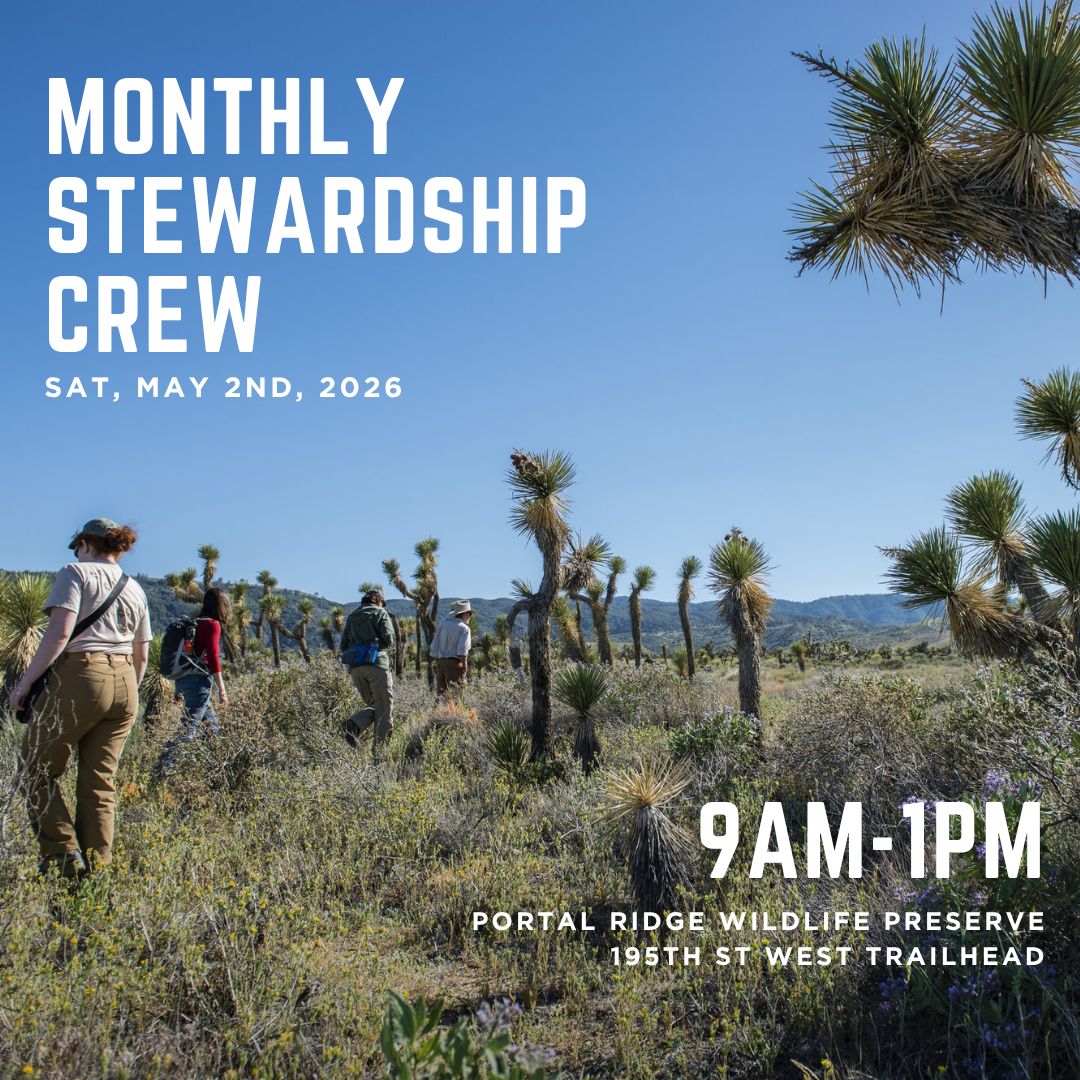 Monthly Stewardship Crew – Portal Ridge Volunteer Day