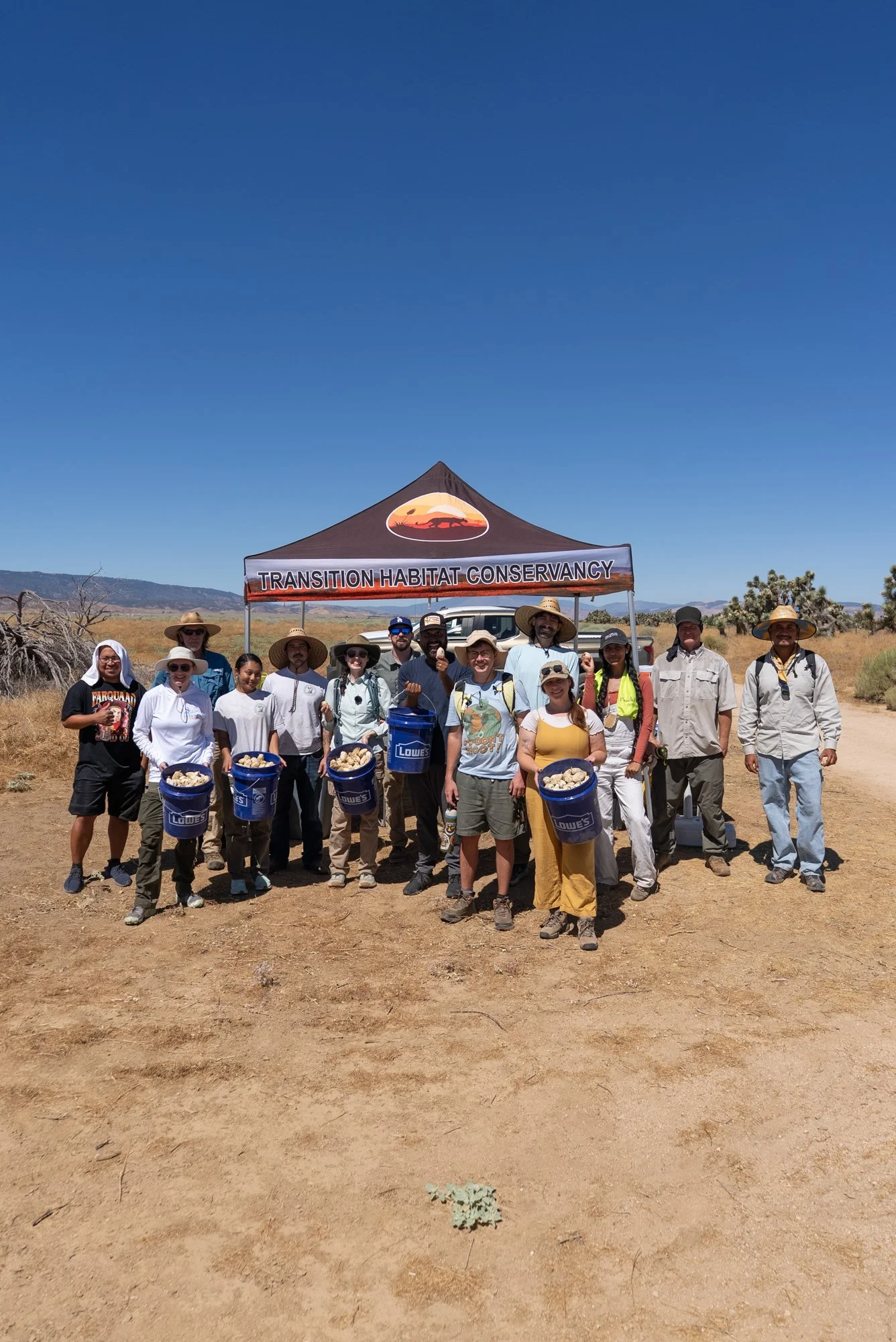 Collecting Seeds From Joshua Trees for Desert Habitat Restoration