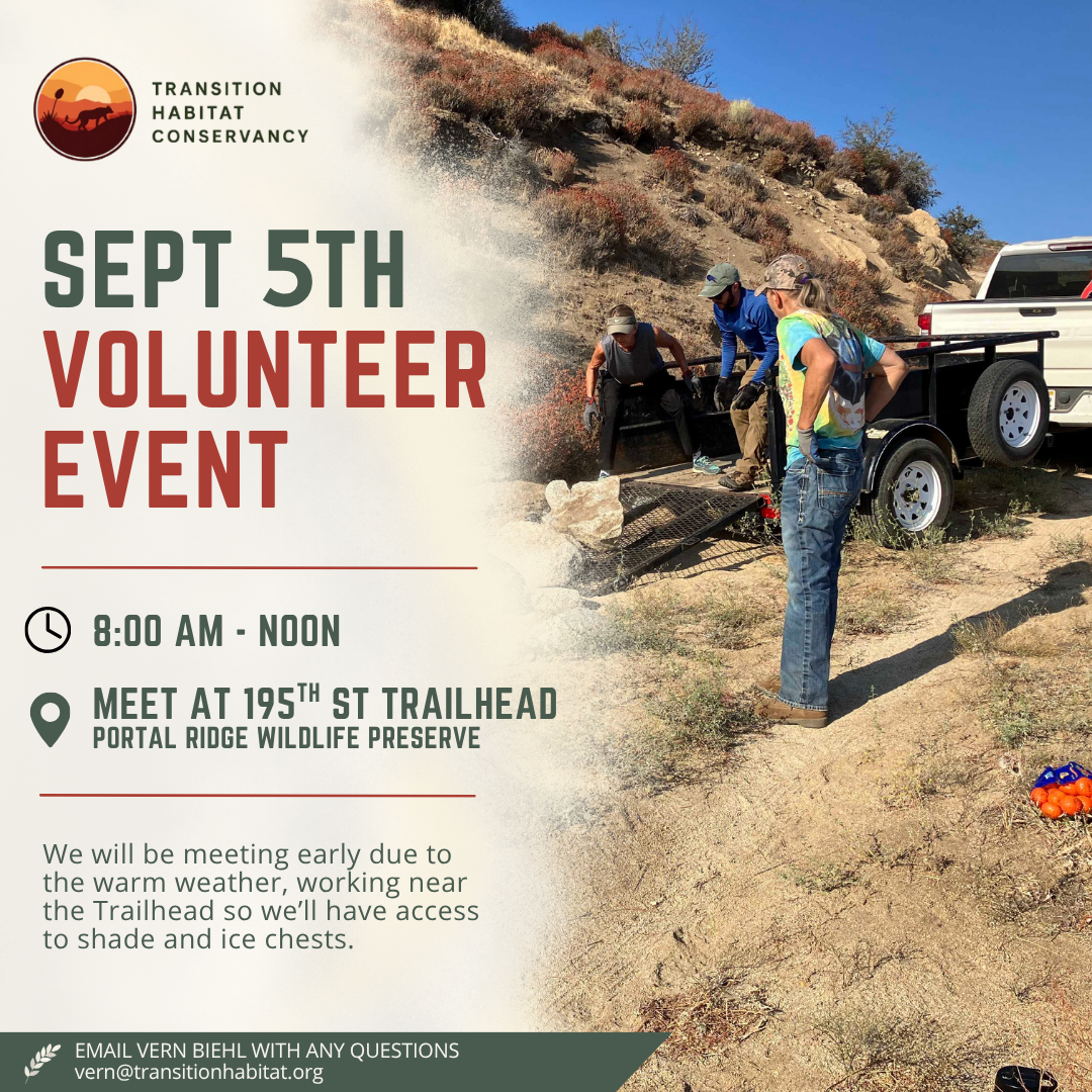 THC Volunteer Event