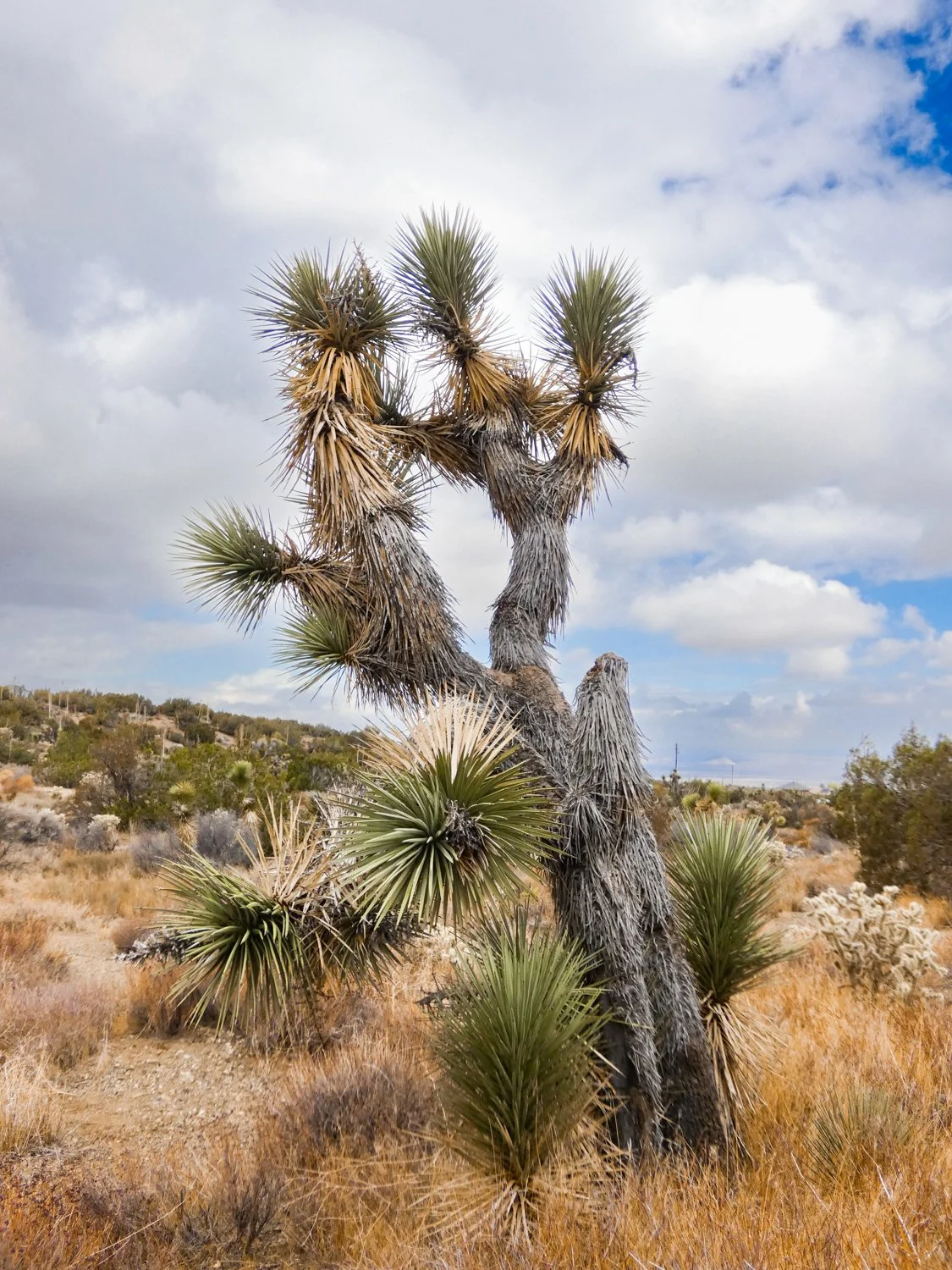 3_LAT_ 34.409322 LON_ -117.619_.JPG