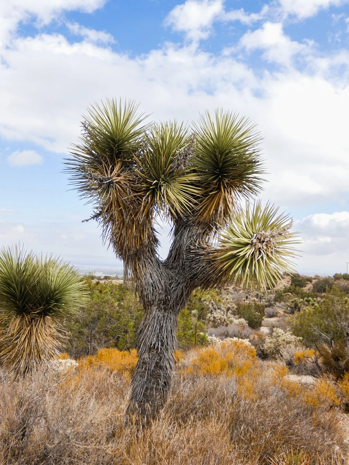 4_LAT_ 34.409849 LON_ -117.619772_.JPG