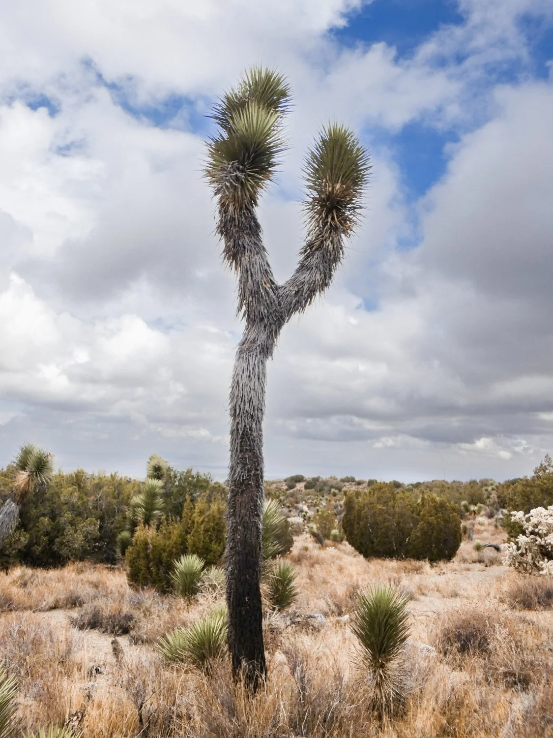 2_LAT_ 34.408974 LON_ -117.619334_.JPG