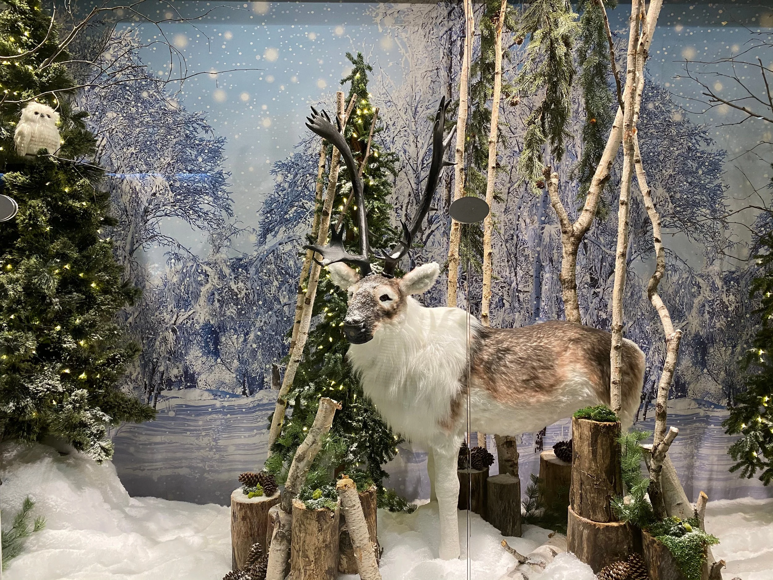 Commercial seasonal window display featuring a decorative faux reindeer prop surrounded by artificial pine trees, birch branches, and a snowy backdrop.
