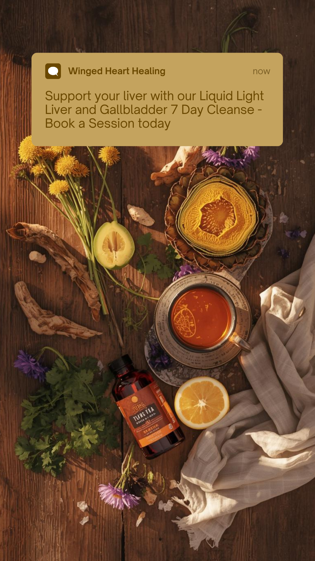 Natural Liver Support and Liver Cleanse for Lyme Disease with Nik Heartsong Winged Heart Healing