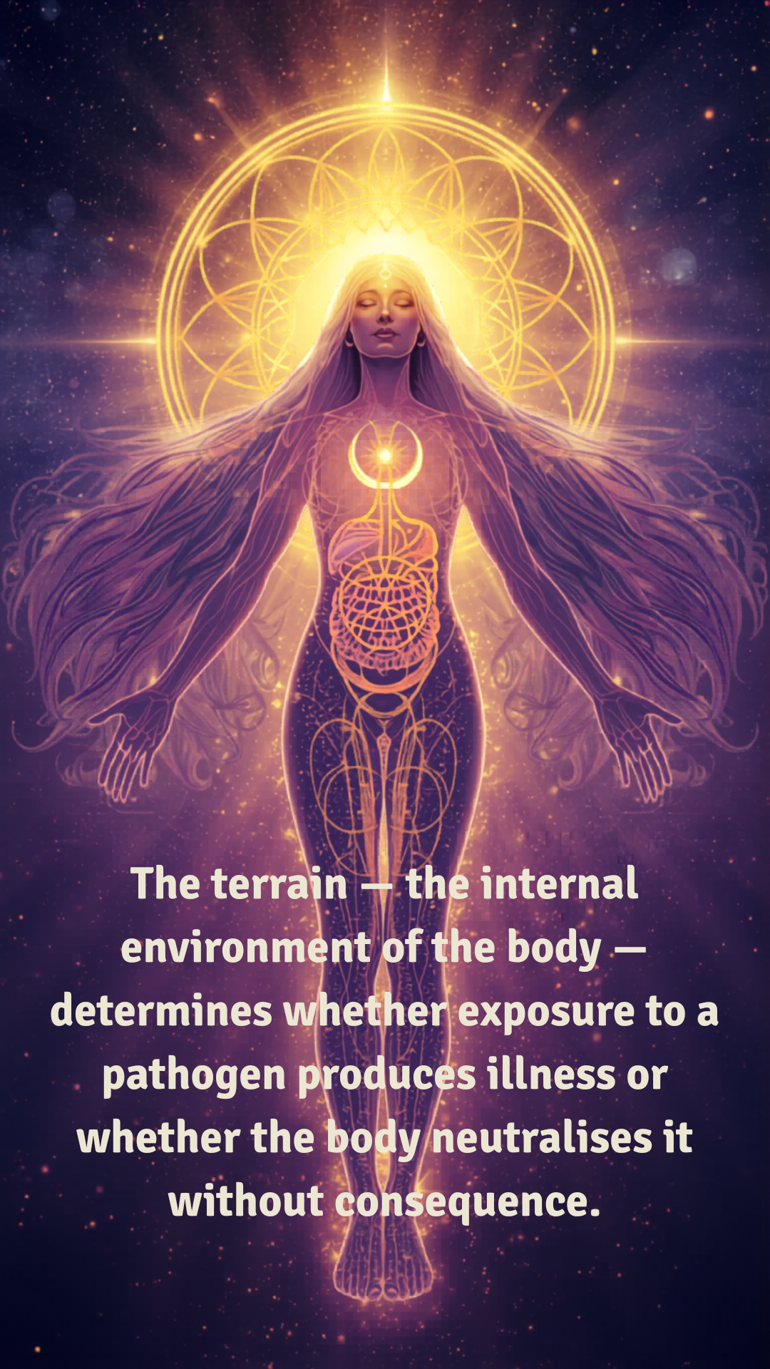 What is Terrain Theory by Nik Heartsong Image of Goddess with golden light sacred geometry and electrical meridians running throughout body
