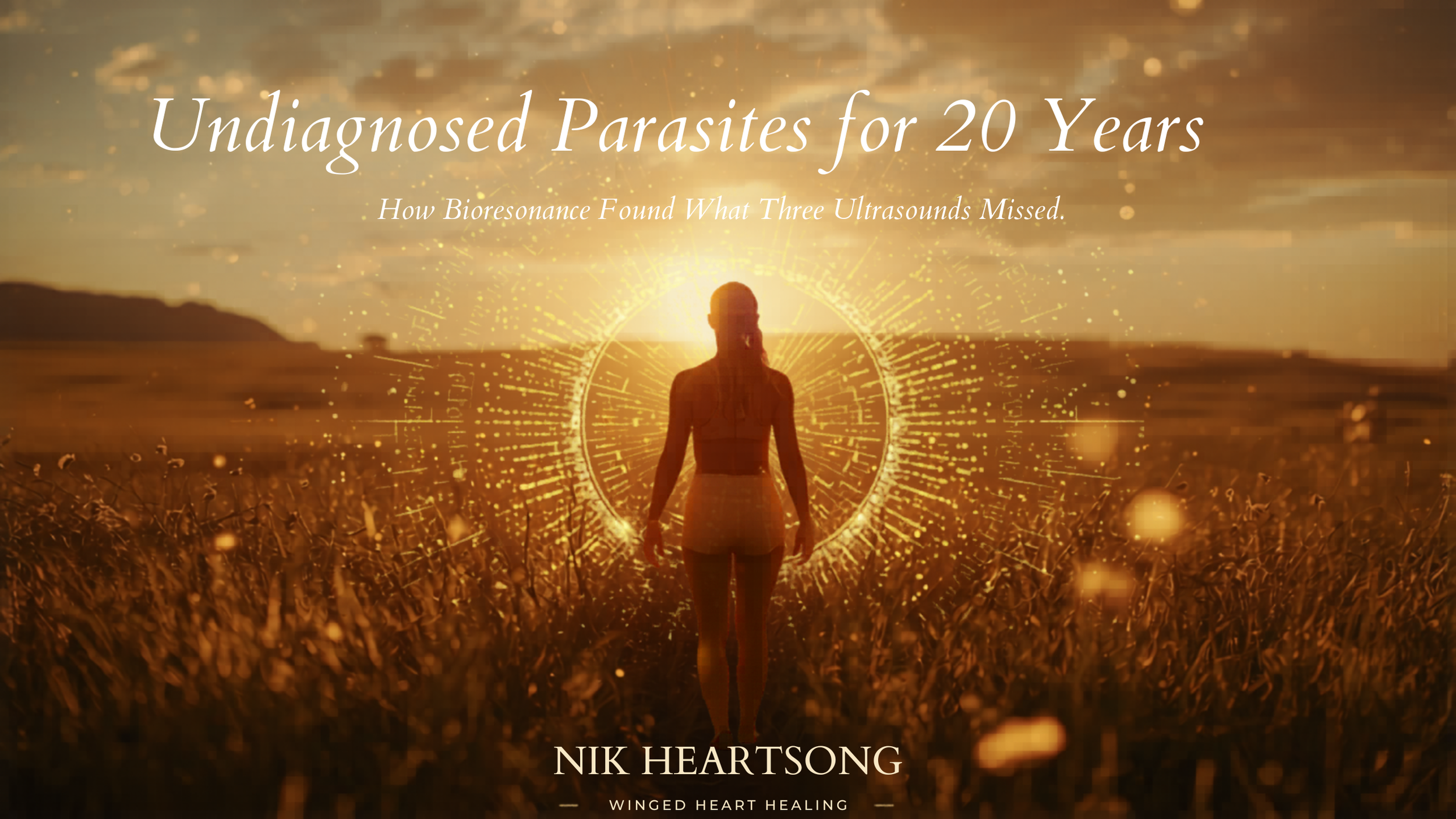 Undiagnosed Parasites for 20 Years How Bioresonance Found What Three Ultrasounds Missed by Nik Heartsong Winged Heart Healing Image of A Silhouetted Woman in Warm Golden Field Looking at the Sun on the Horizon