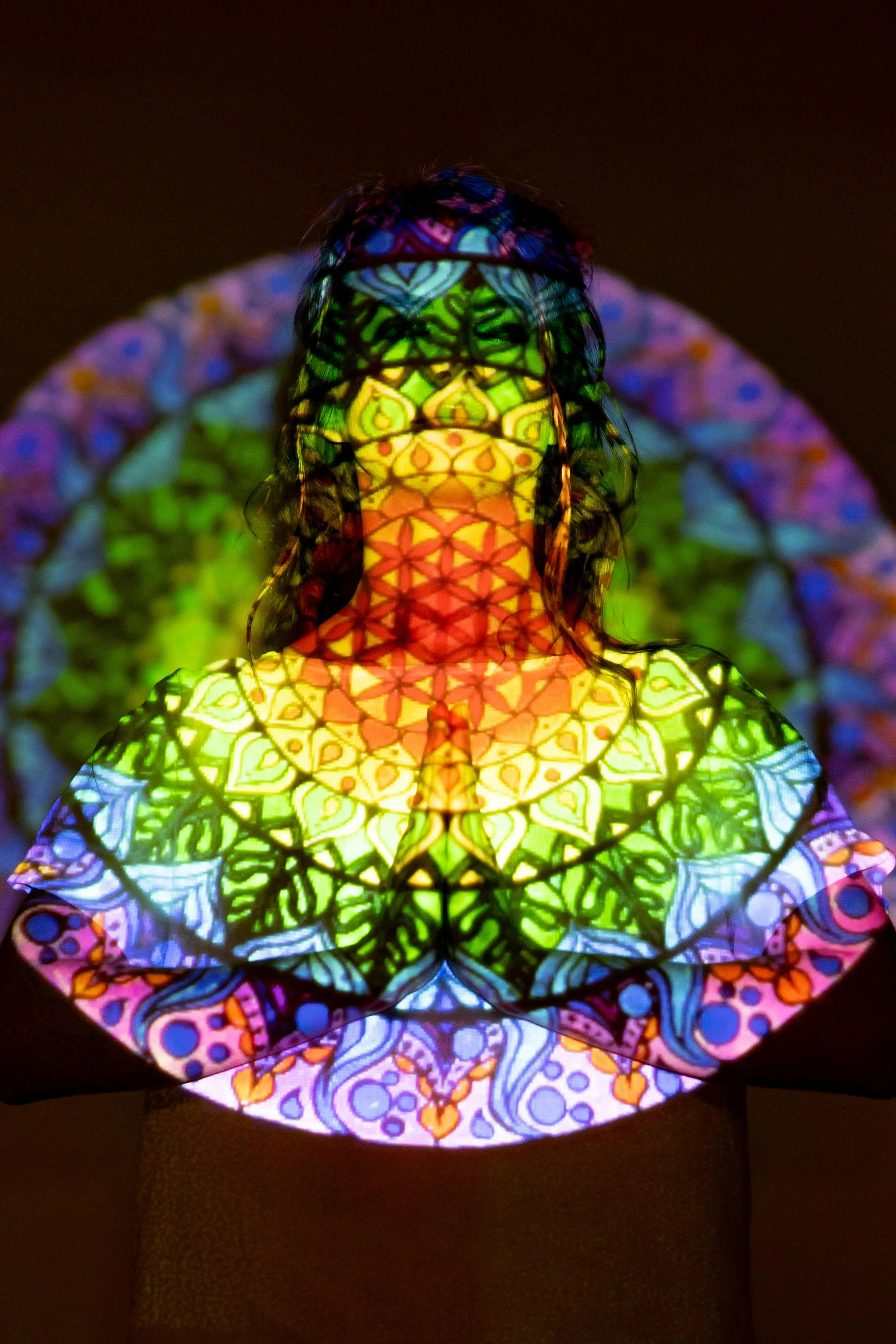 What is Consciousness Lessons after Near Death Experience Consciousness is not produced by the body by Nik Heartsong Winged heart Healing Image of Rainbow fractal Women's Head