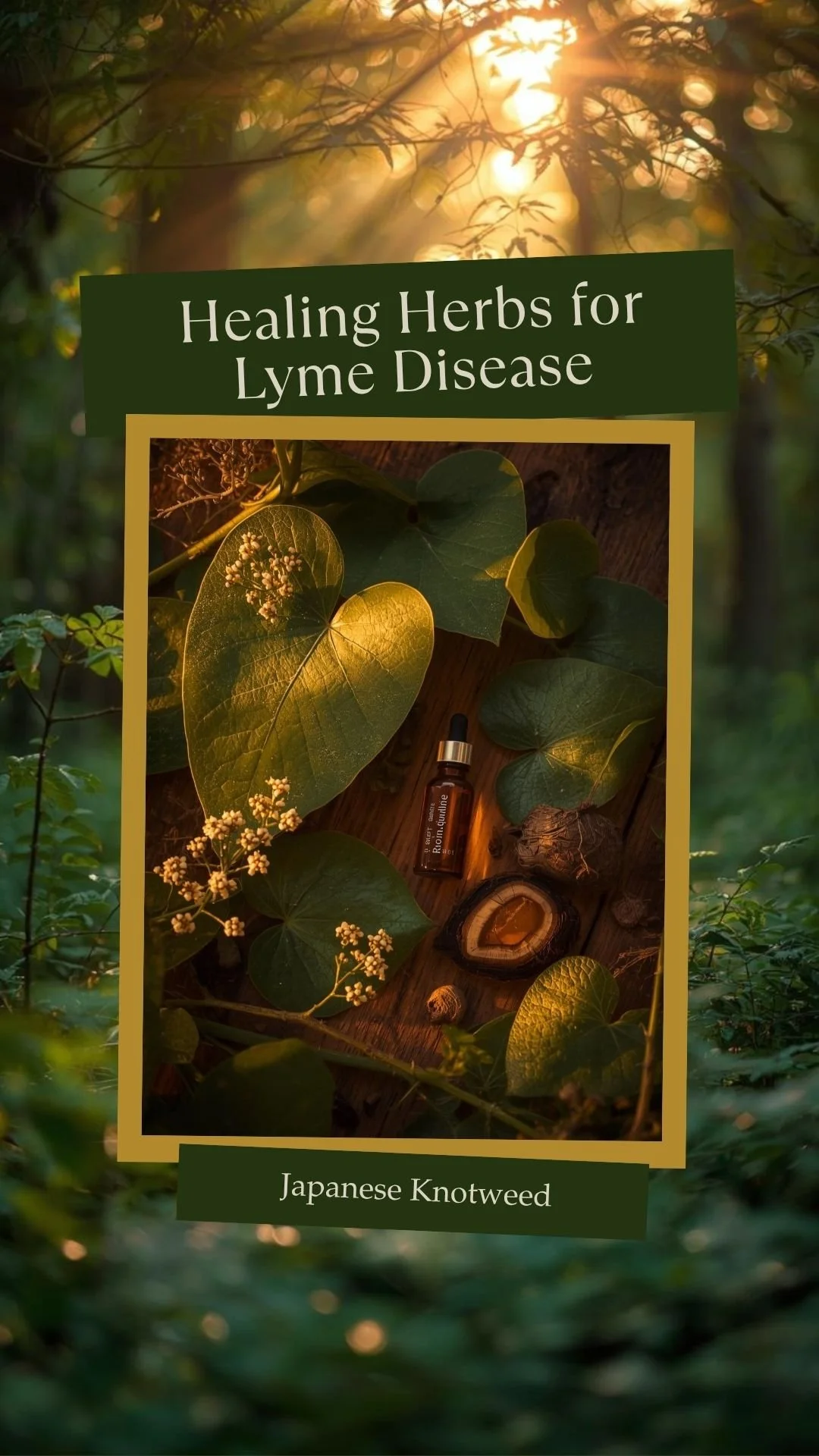 Nervous System and Encephalitis Support Healing Herbs Natural Protocol for Lyme Disease by Nik Heartsong Winged Heart Healing